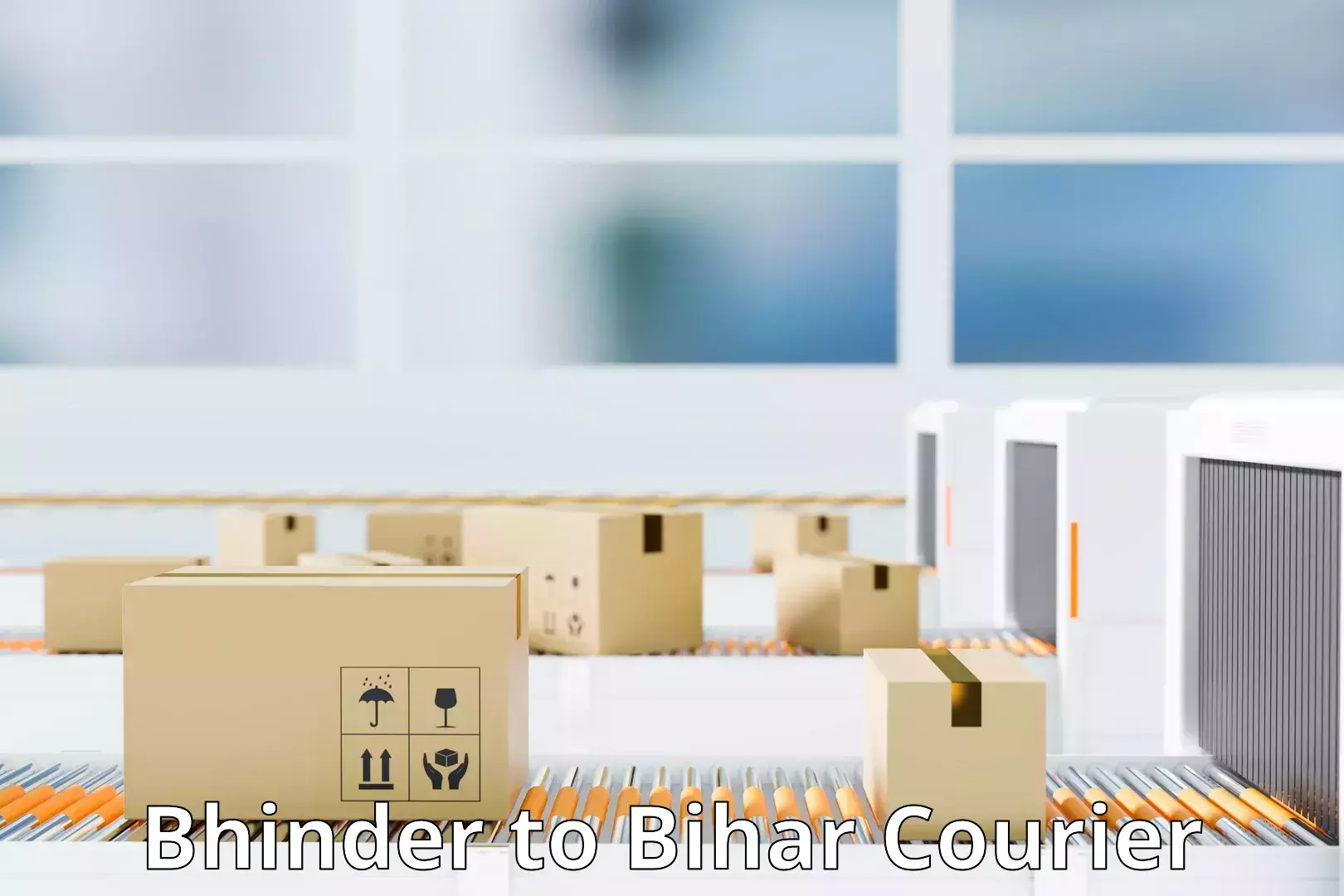 Multi-national courier services in Bhinder to Bihar