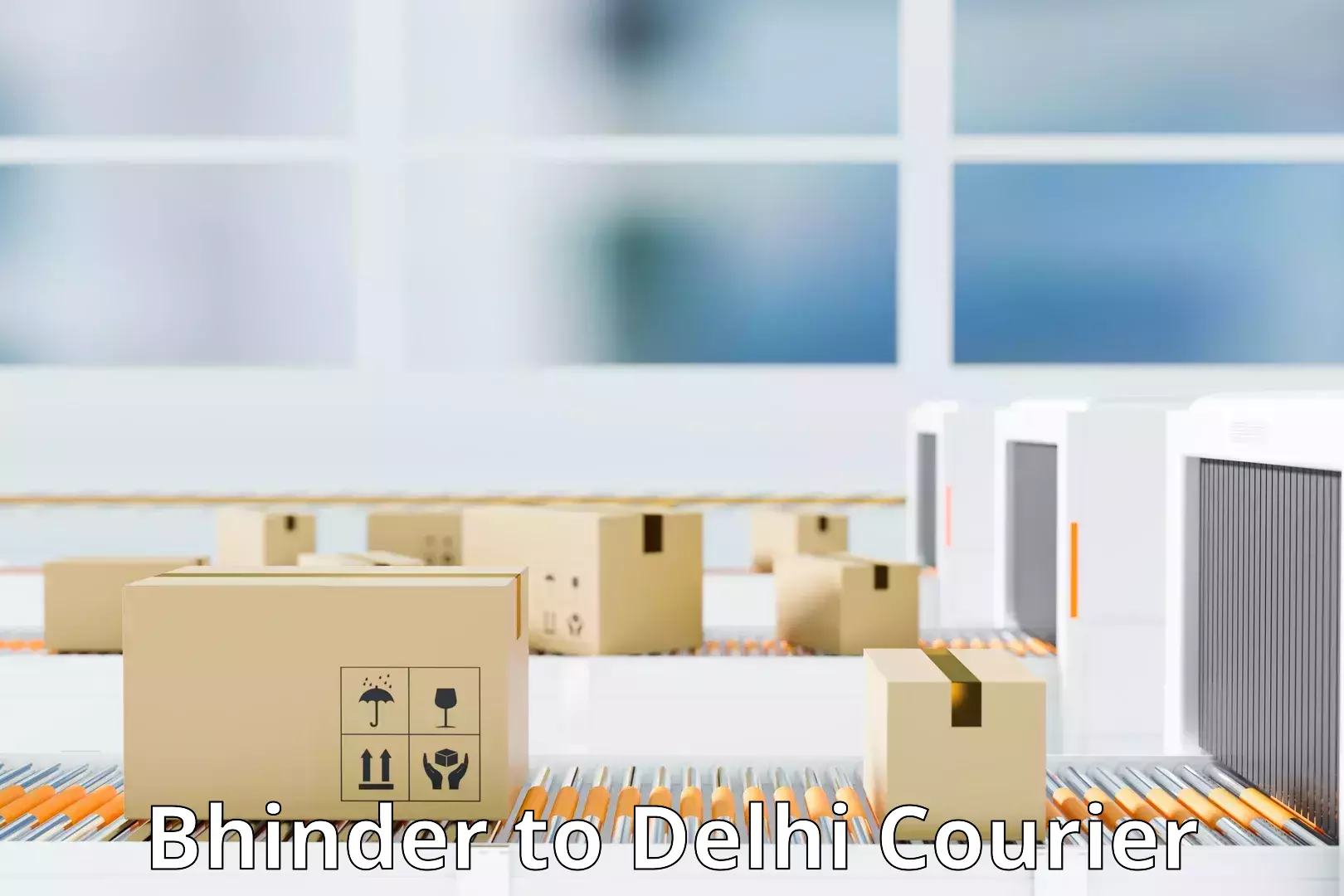 Multi-national courier services in Bhinder to University of Delhi