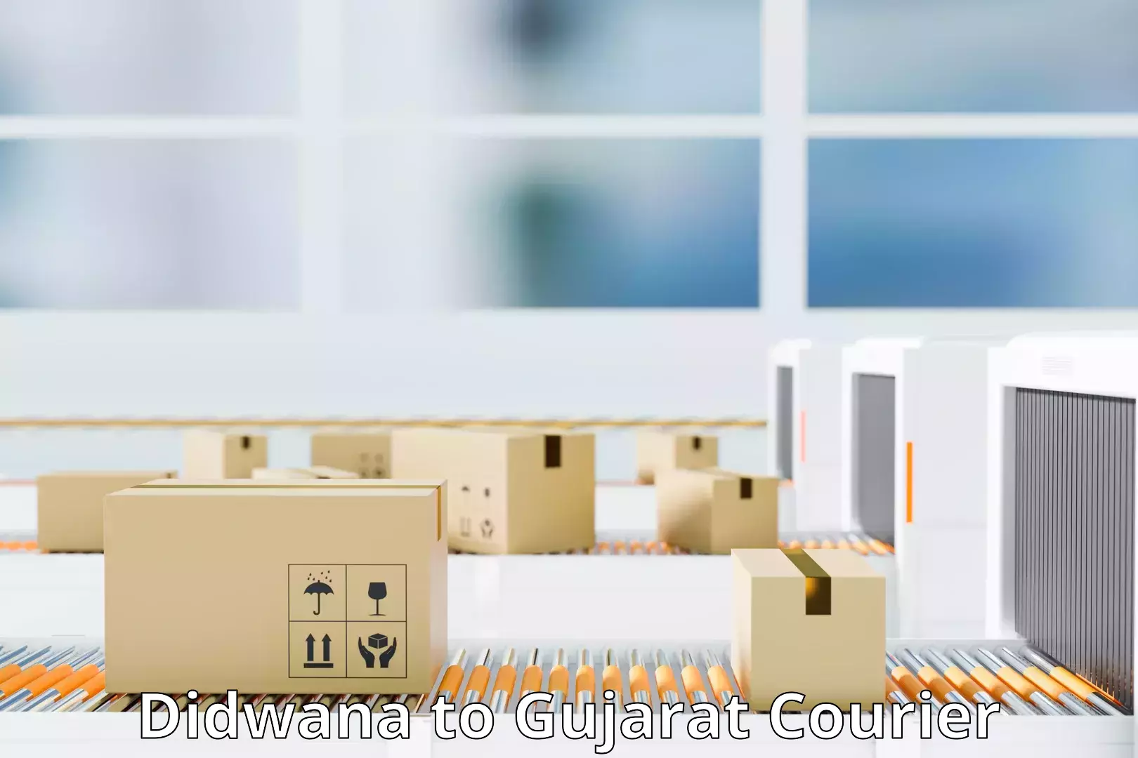 Reliable package handling Didwana to Gujarat