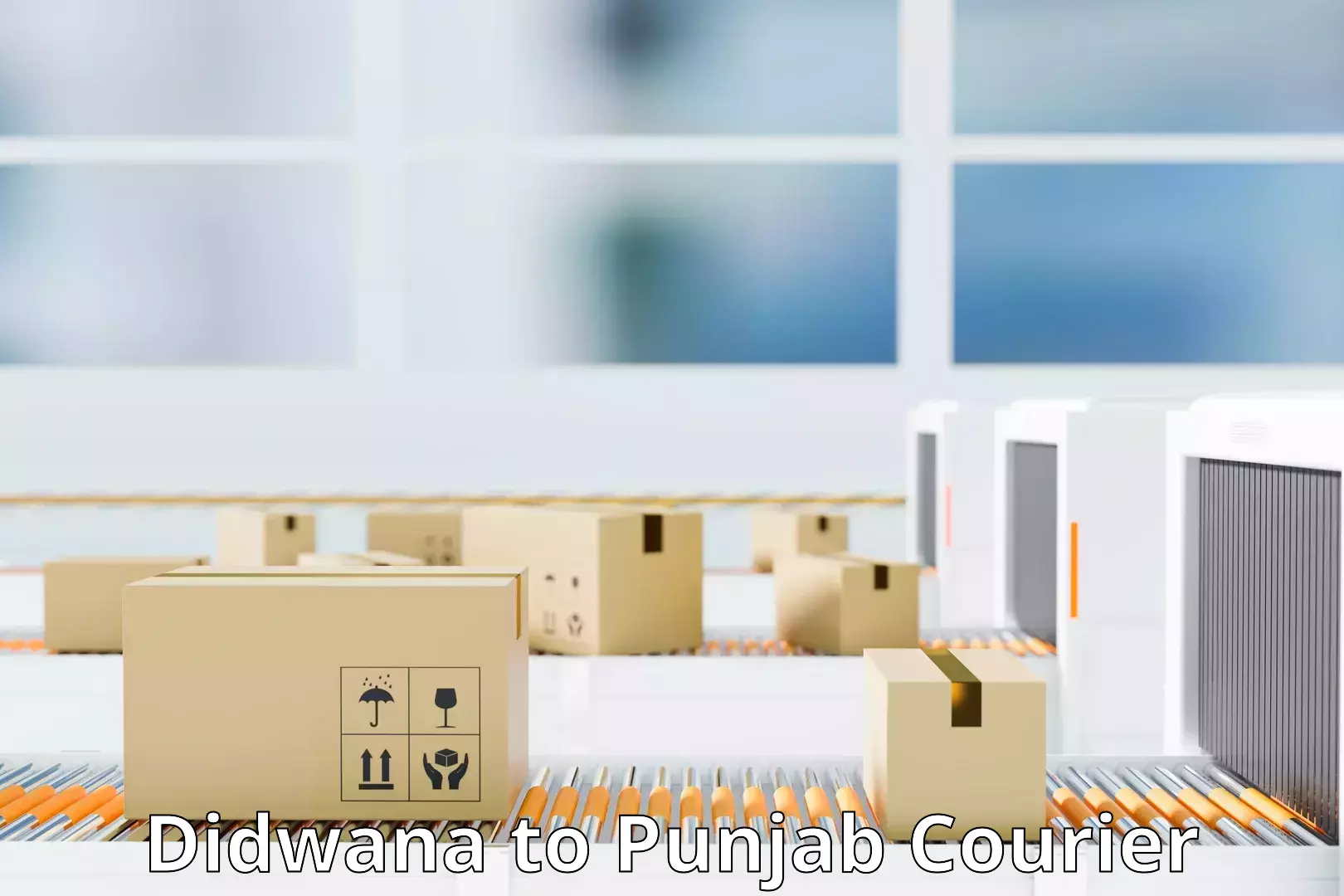 Comprehensive shipping services Didwana to Punjab