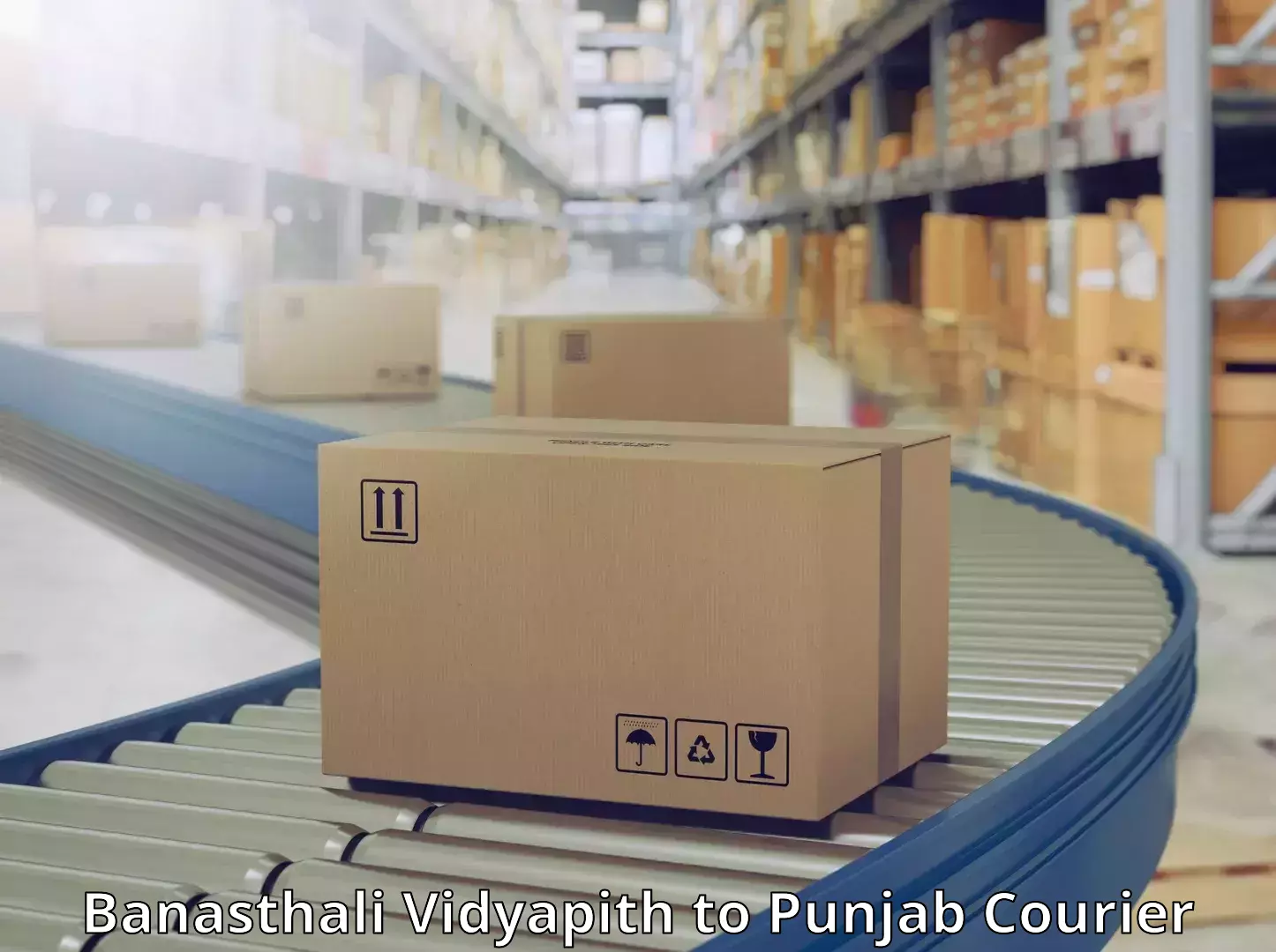Supply chain delivery Banasthali Vidyapith to Punjab