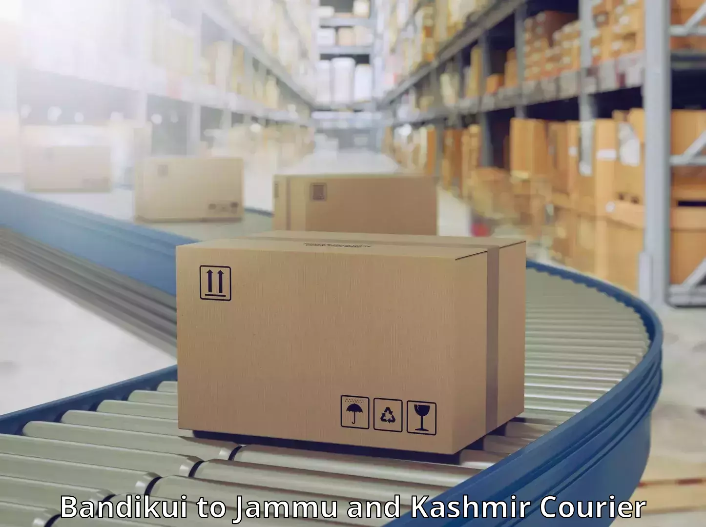 Full-service courier options in Bandikui to Jammu and Kashmir