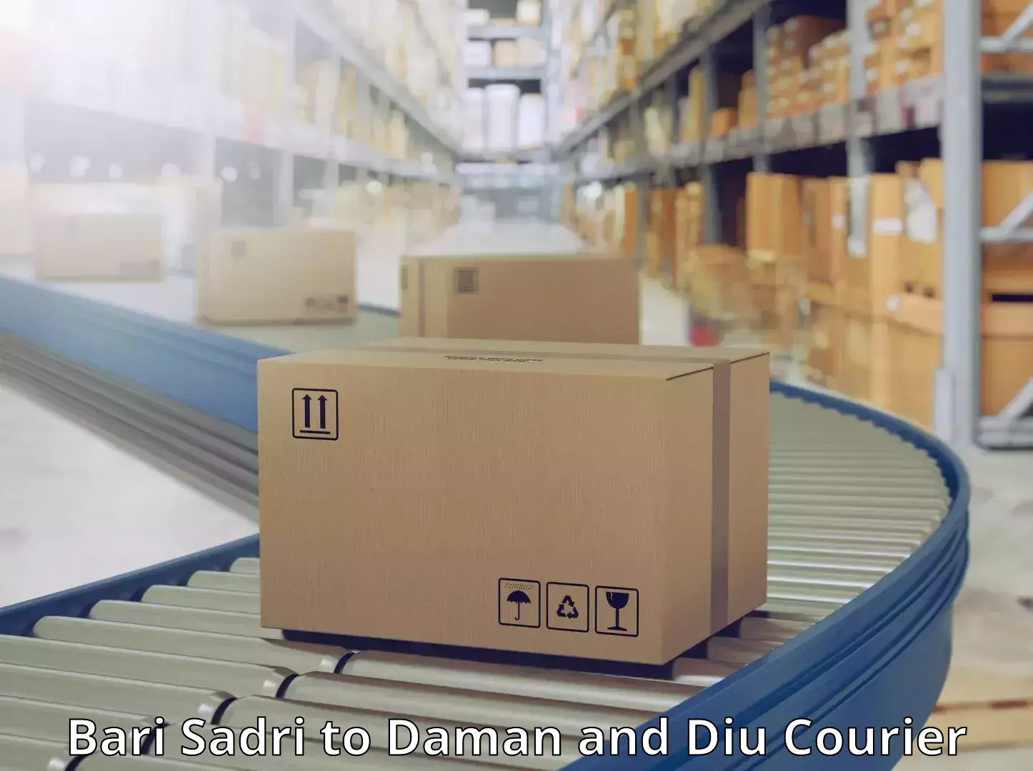 Efficient shipping operations Bari Sadri to Daman and Diu