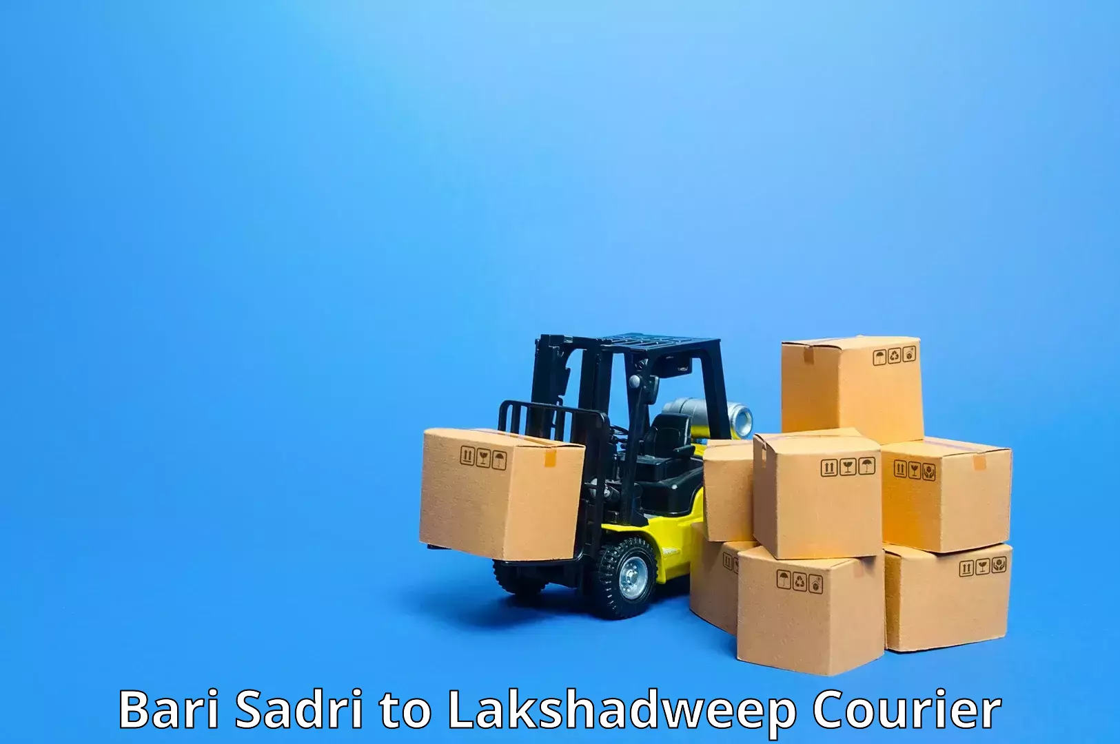 Express mail service Bari Sadri to Lakshadweep