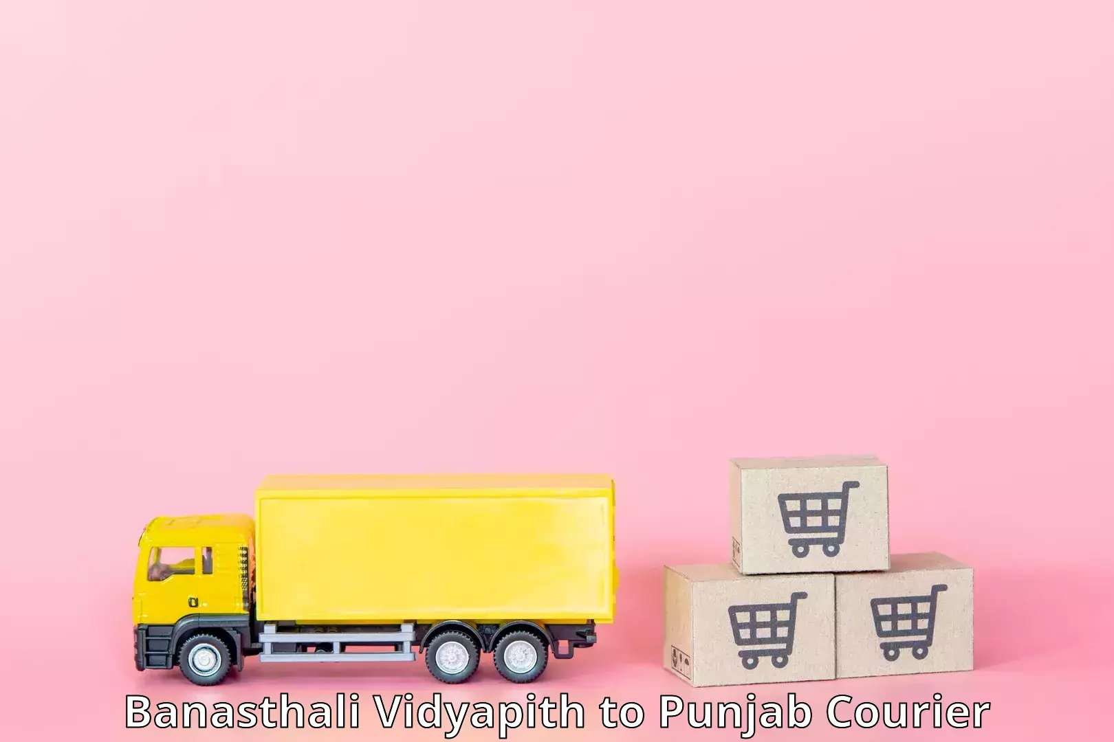 Nationwide shipping coverage Banasthali Vidyapith to Punjab