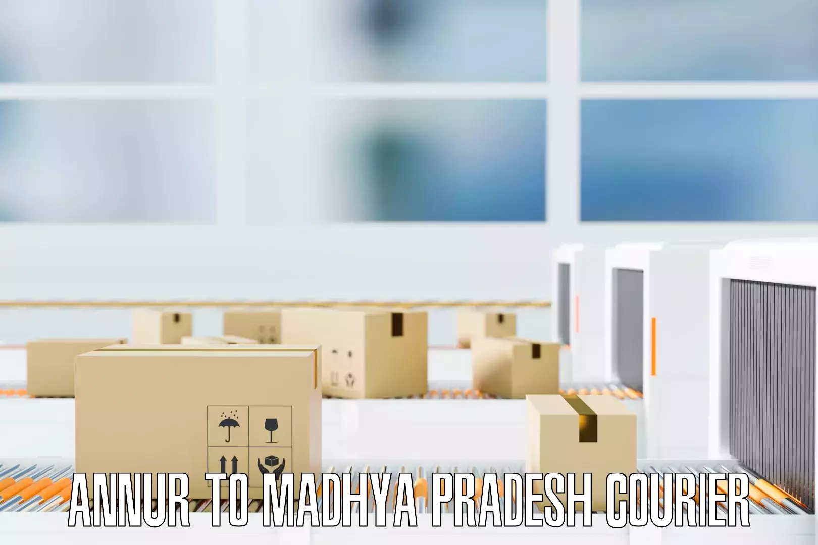 Custom moving and storage Annur to Madhya Pradesh