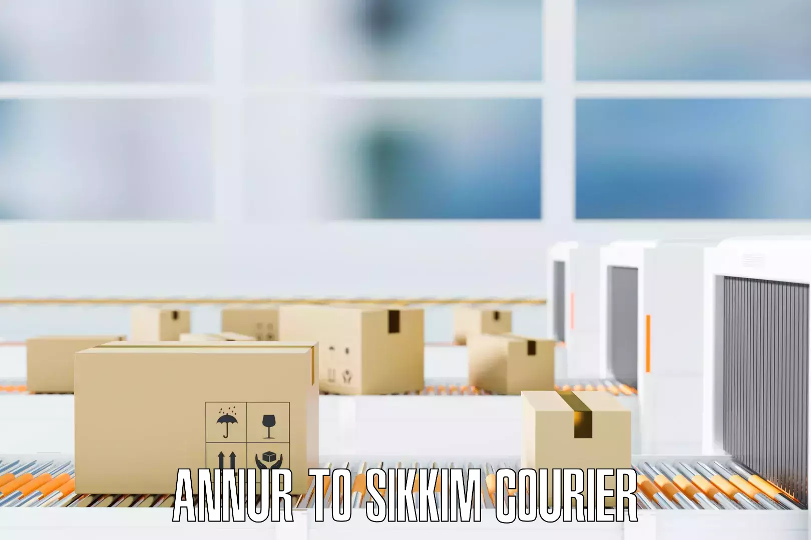 Custom moving solutions Annur to Sikkim