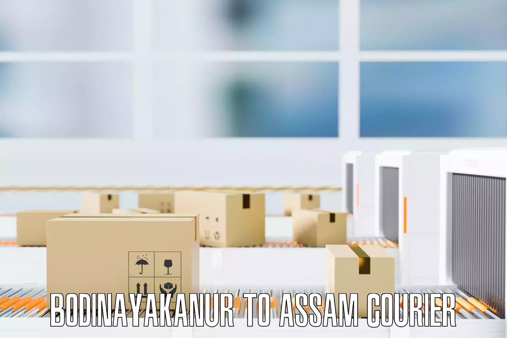 Effective moving solutions Bodinayakanur to Assam