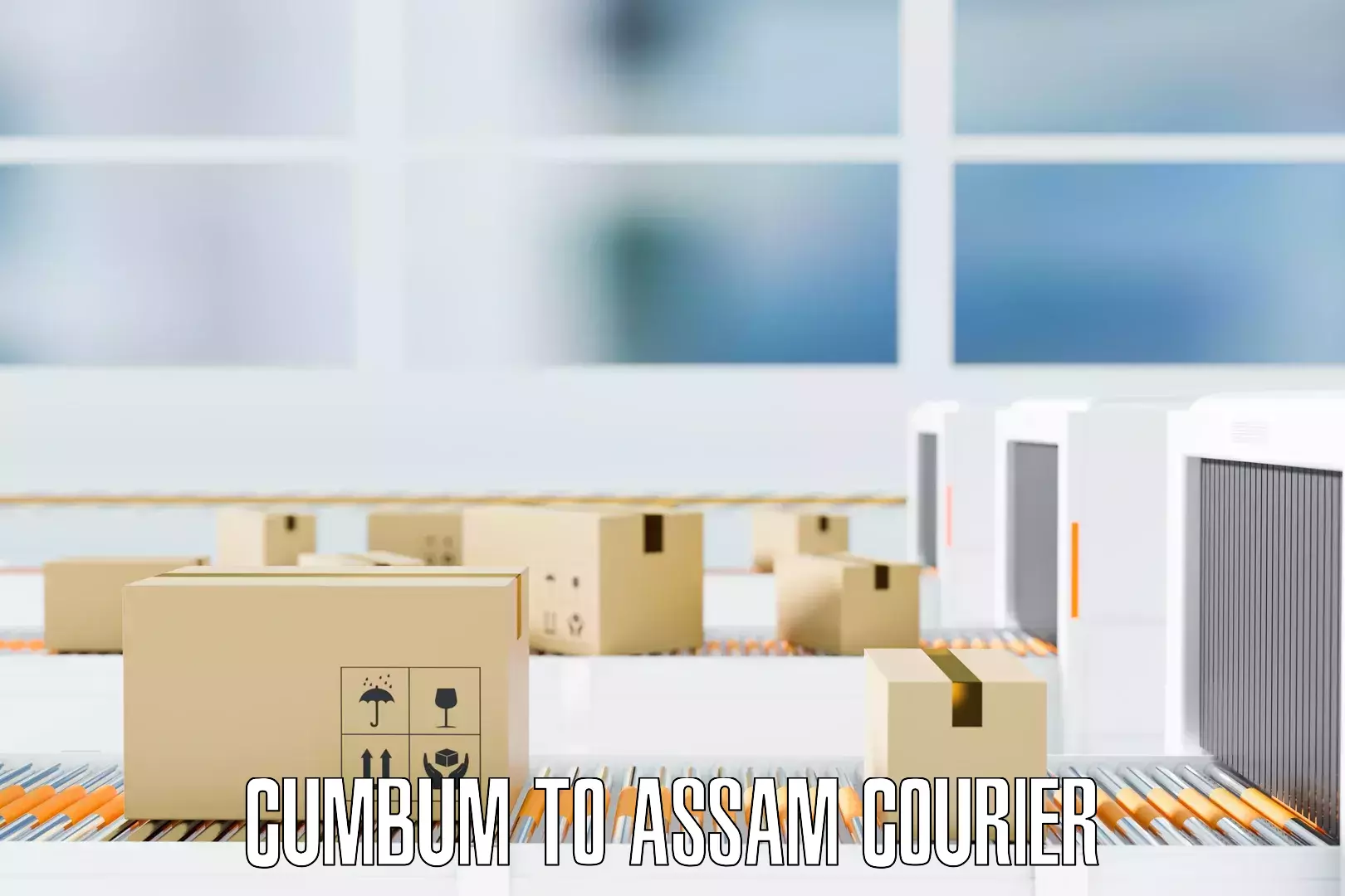 Quick household relocation Cumbum to Assam