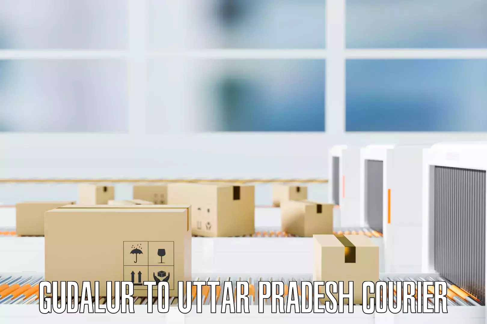 Furniture transport experts Gudalur to Uttar Pradesh