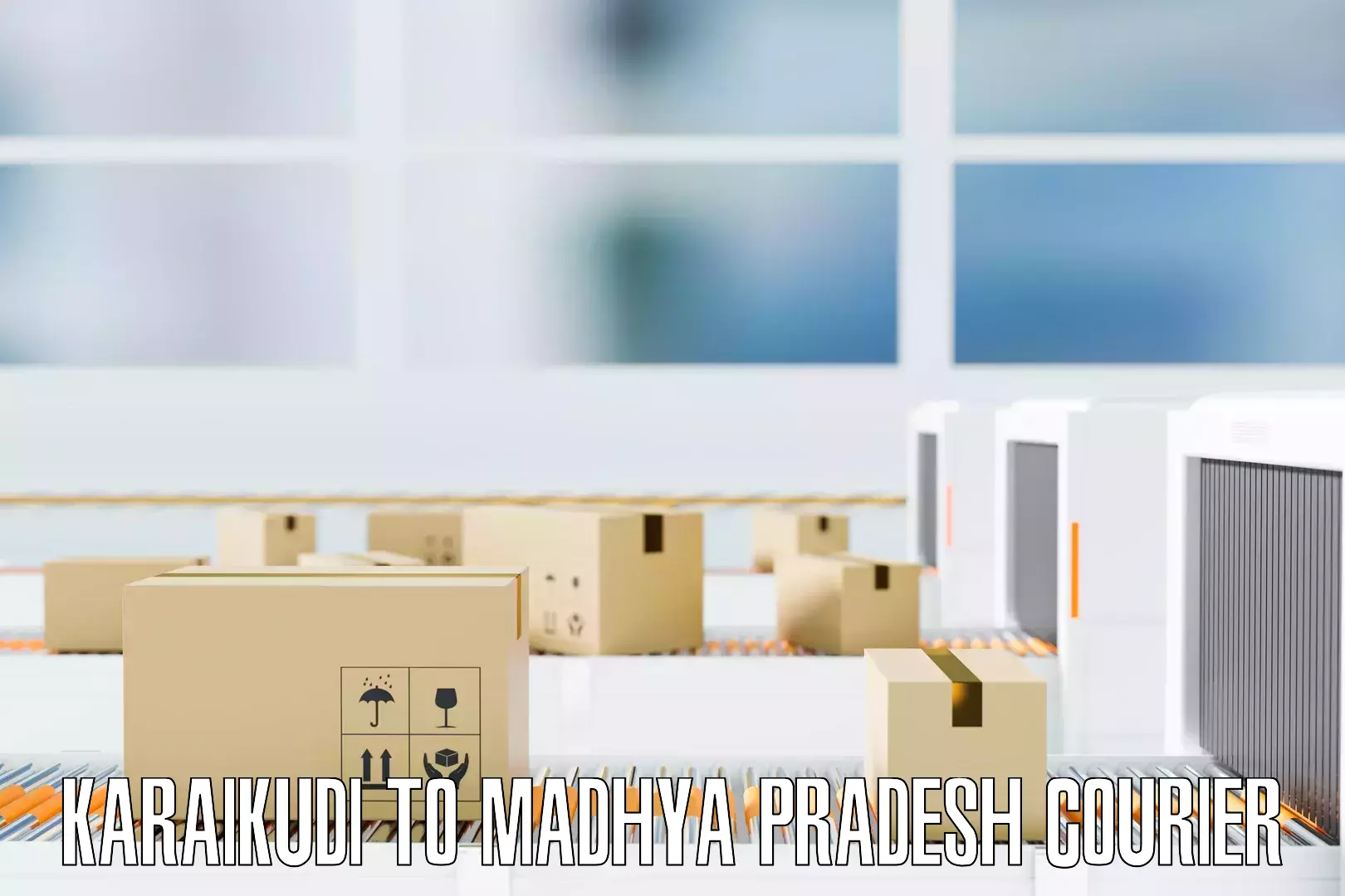 Efficient packing services Karaikudi to Madhya Pradesh