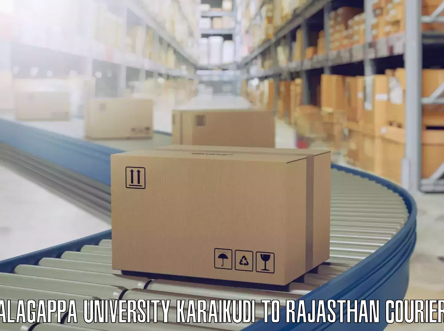 Household moving experts Alagappa University Karaikudi to Rajasthan