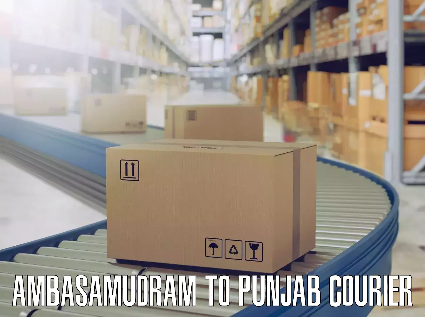 Home goods transport Ambasamudram to Punjab