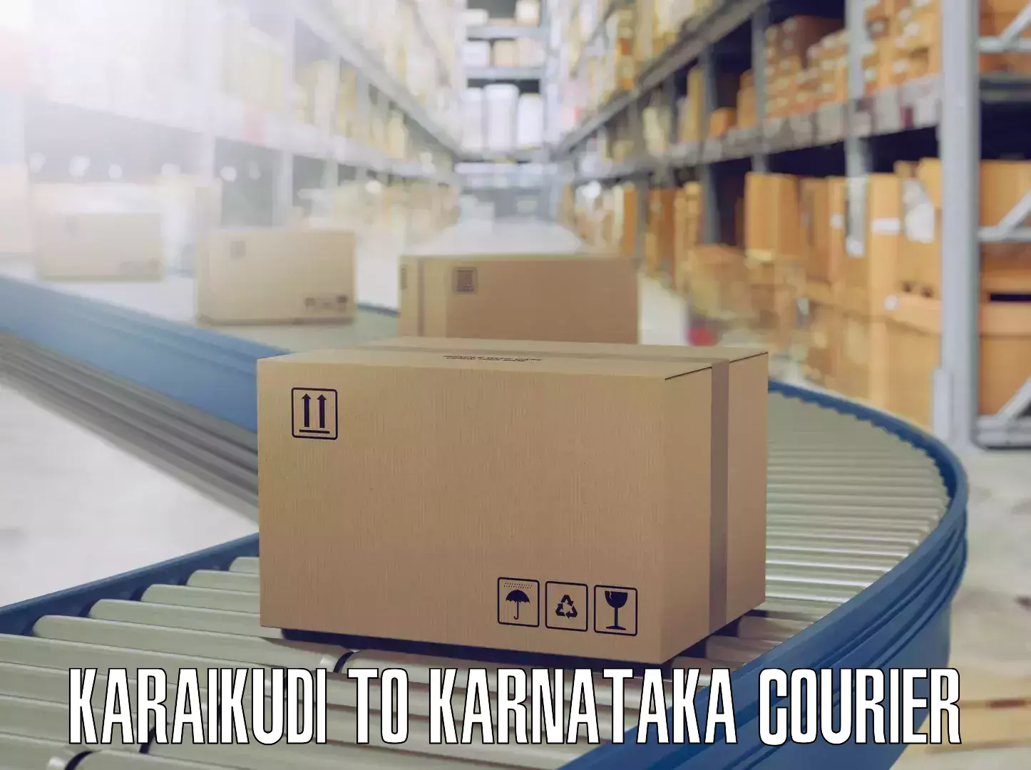 Dependable furniture transport Karaikudi to Karnataka