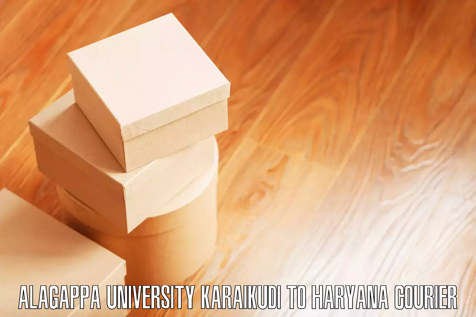 Efficient furniture transport Alagappa University Karaikudi to Agroha