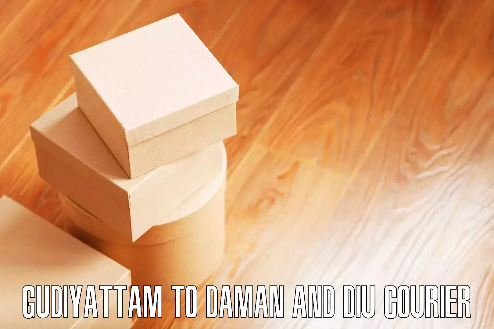 Quality moving and storage Gudiyattam to Daman and Diu