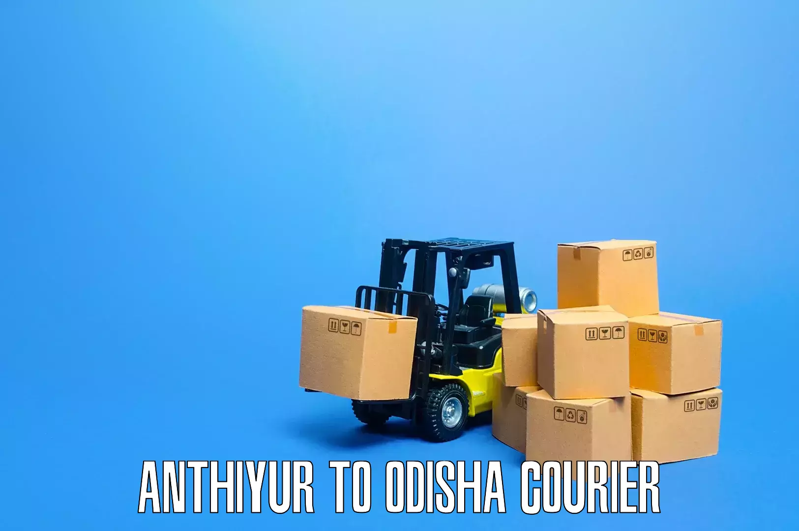 Online household goods transport Anthiyur to Balimela