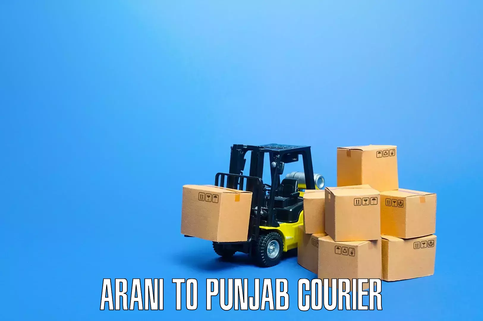 Professional packing and transport Arani to Punjab