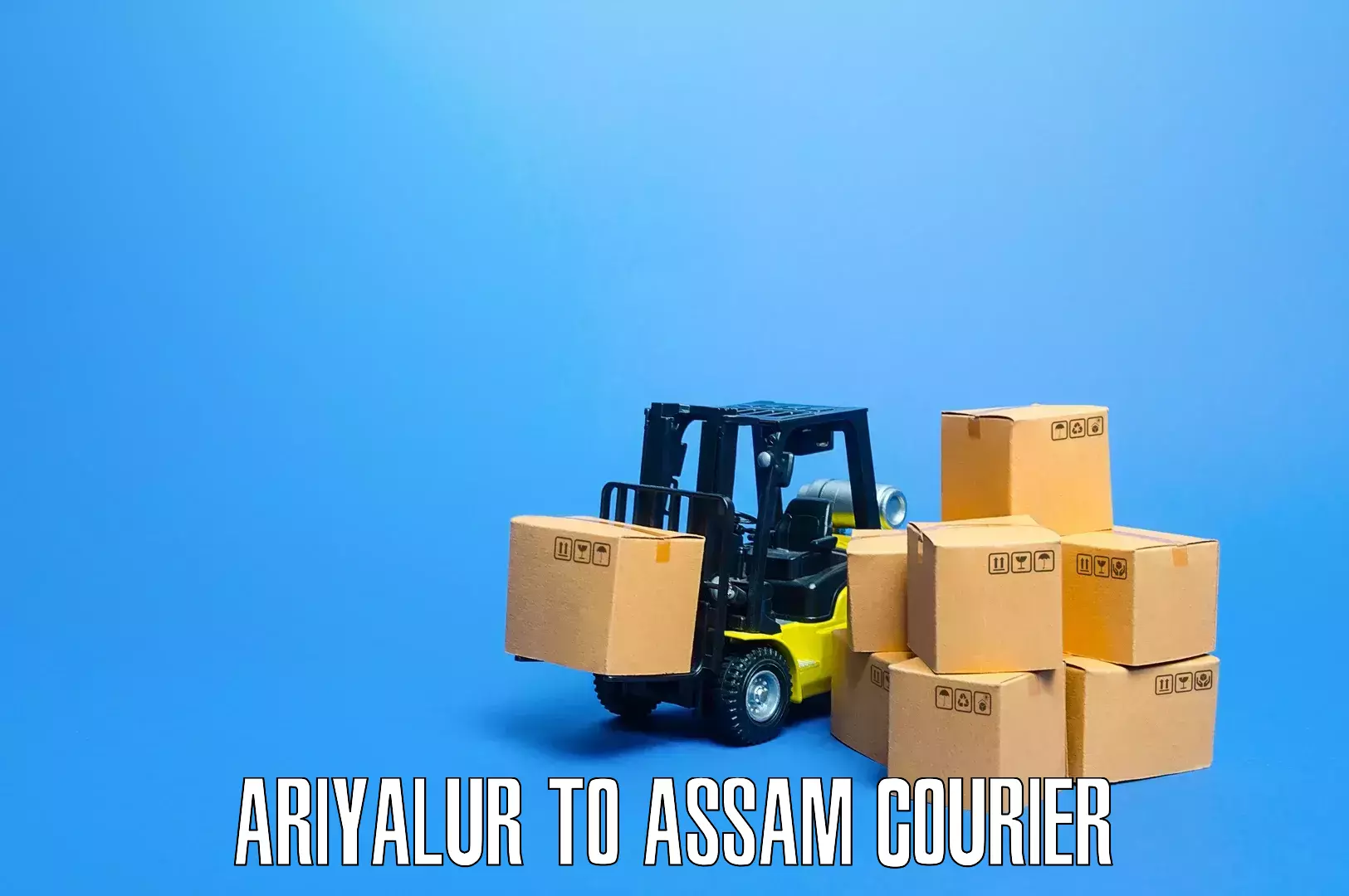 Furniture transport services Ariyalur to Kalain