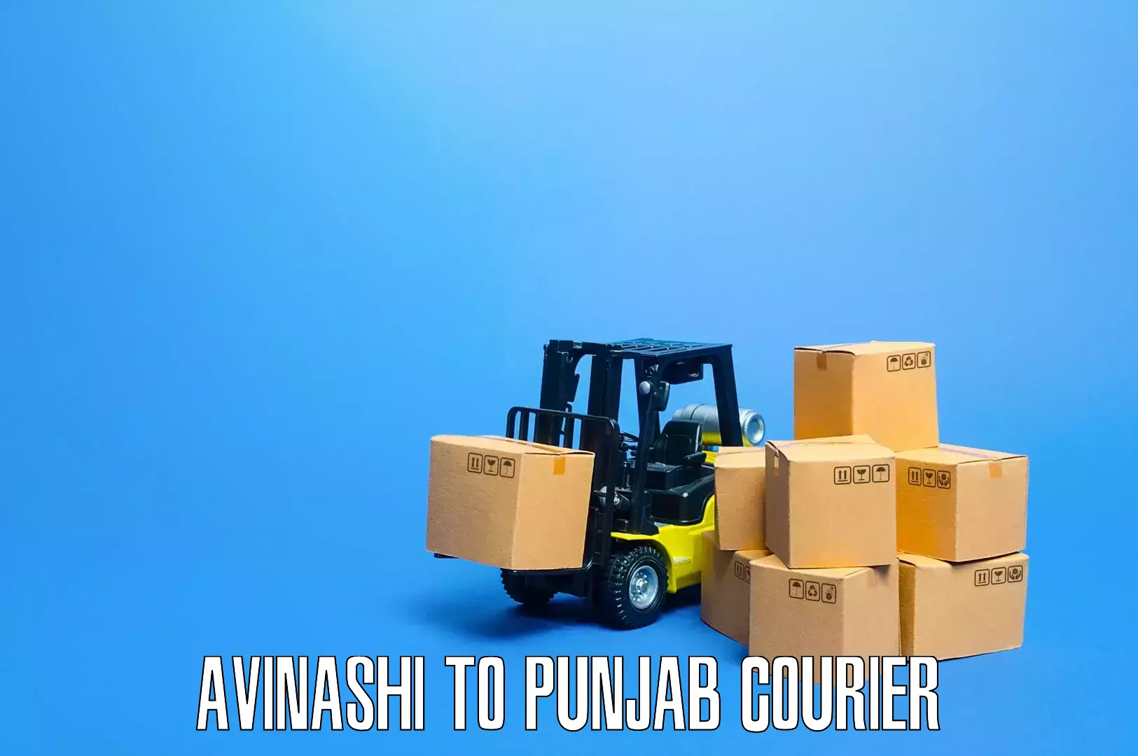 Furniture moving experts Avinashi to Punjab