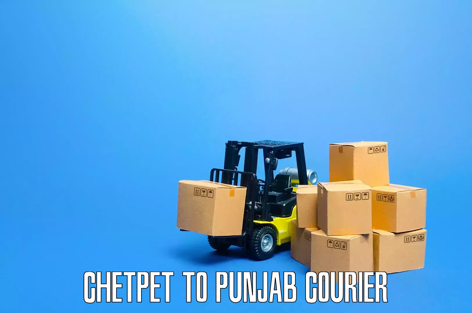 Specialized home movers Chetpet to Punjab