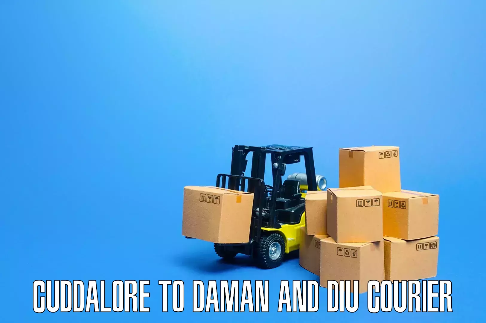 Skilled furniture transport Cuddalore to Daman