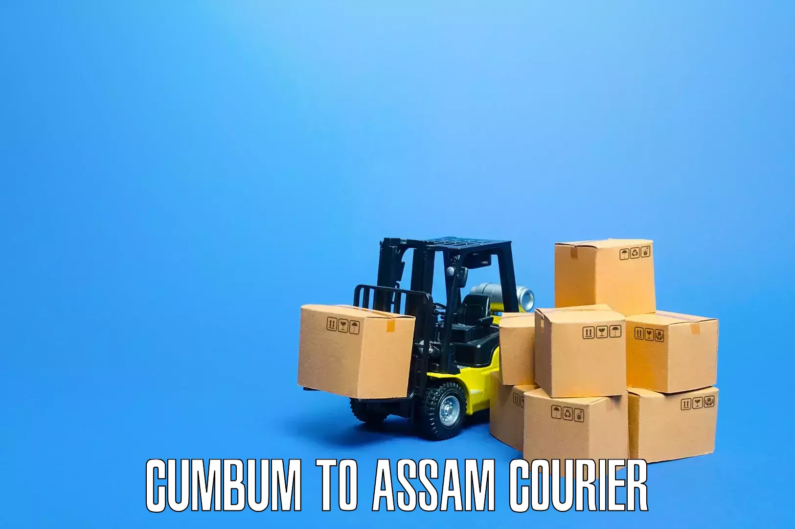 Custom moving plans Cumbum to Dergaon