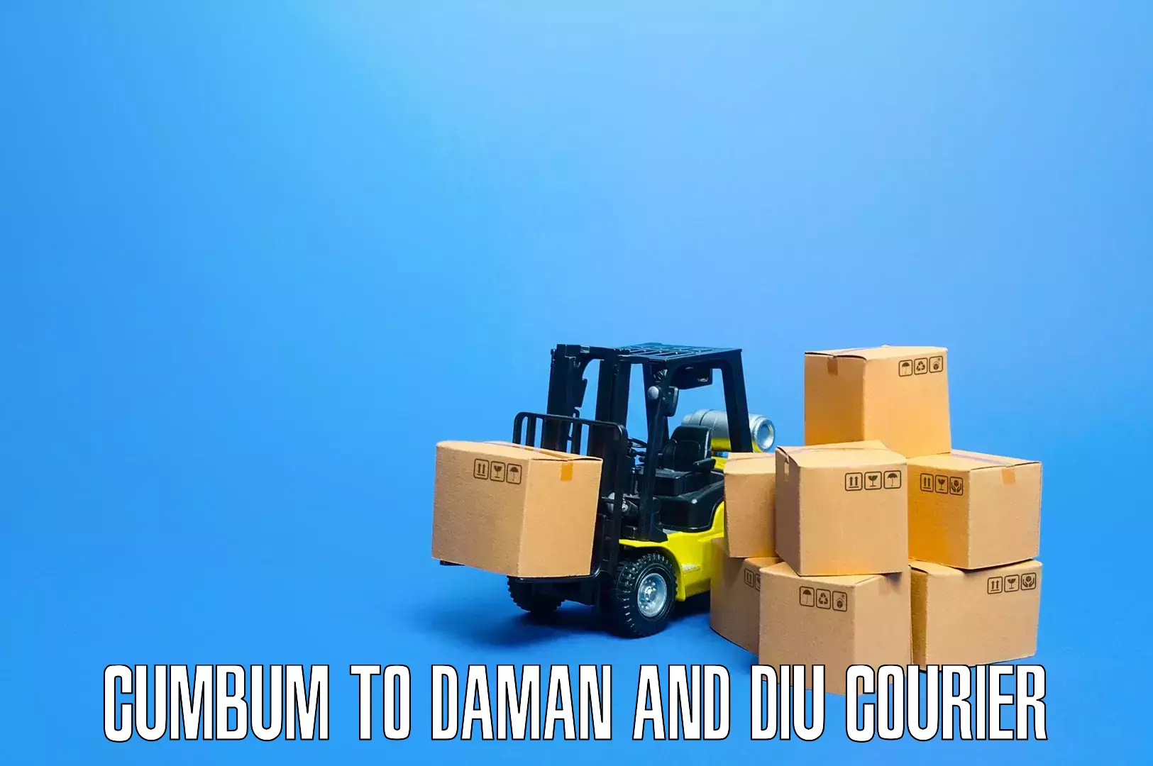 Skilled furniture transporters Cumbum to Daman