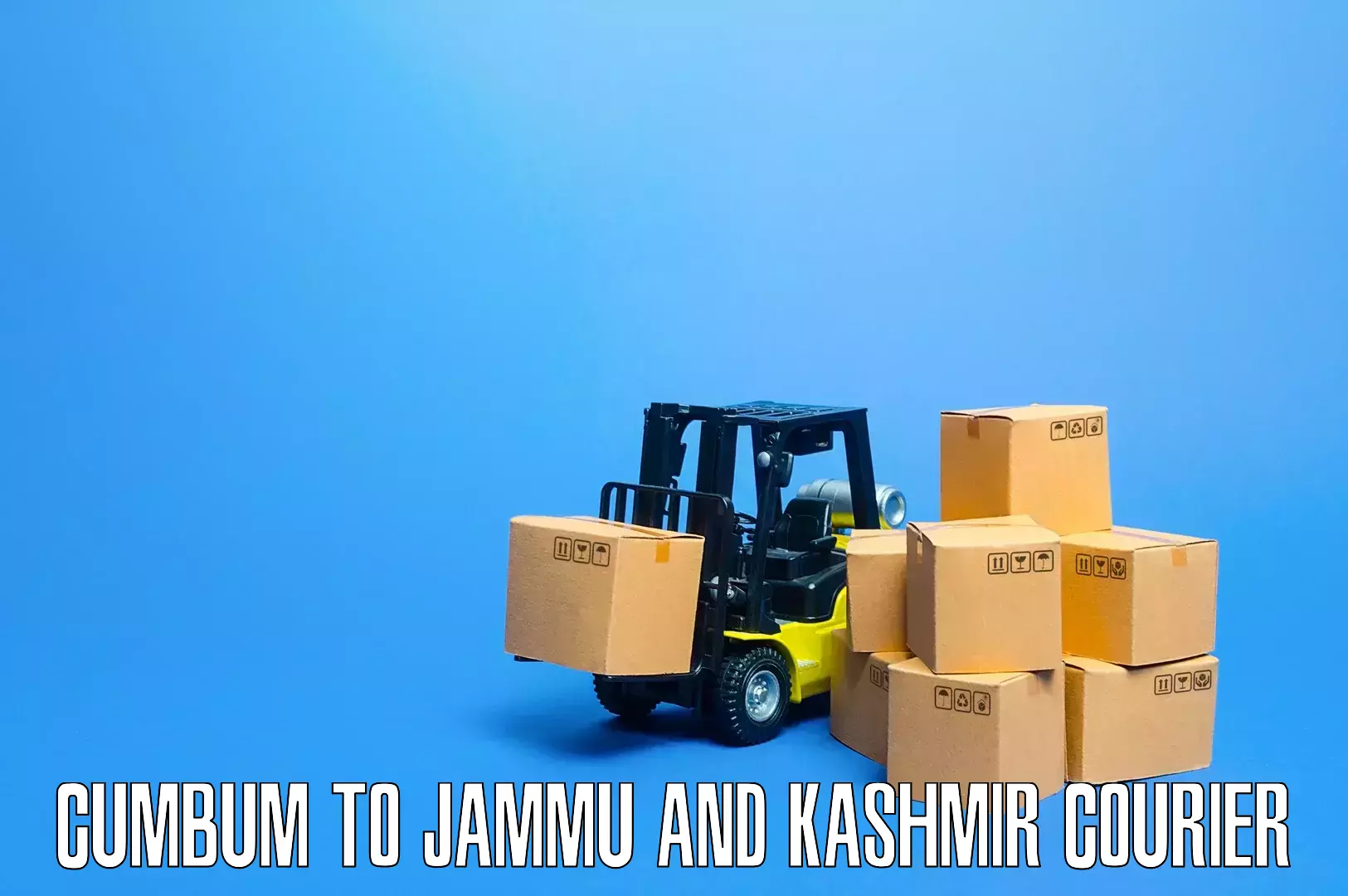 Professional movers and packers in Cumbum to University of Kashmir Srinagar