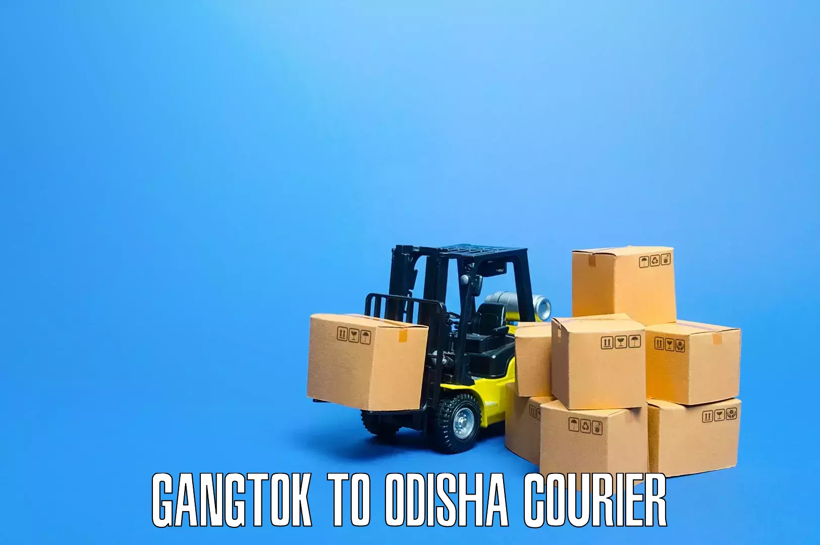 Household logistics services Gangtok to Jashipur