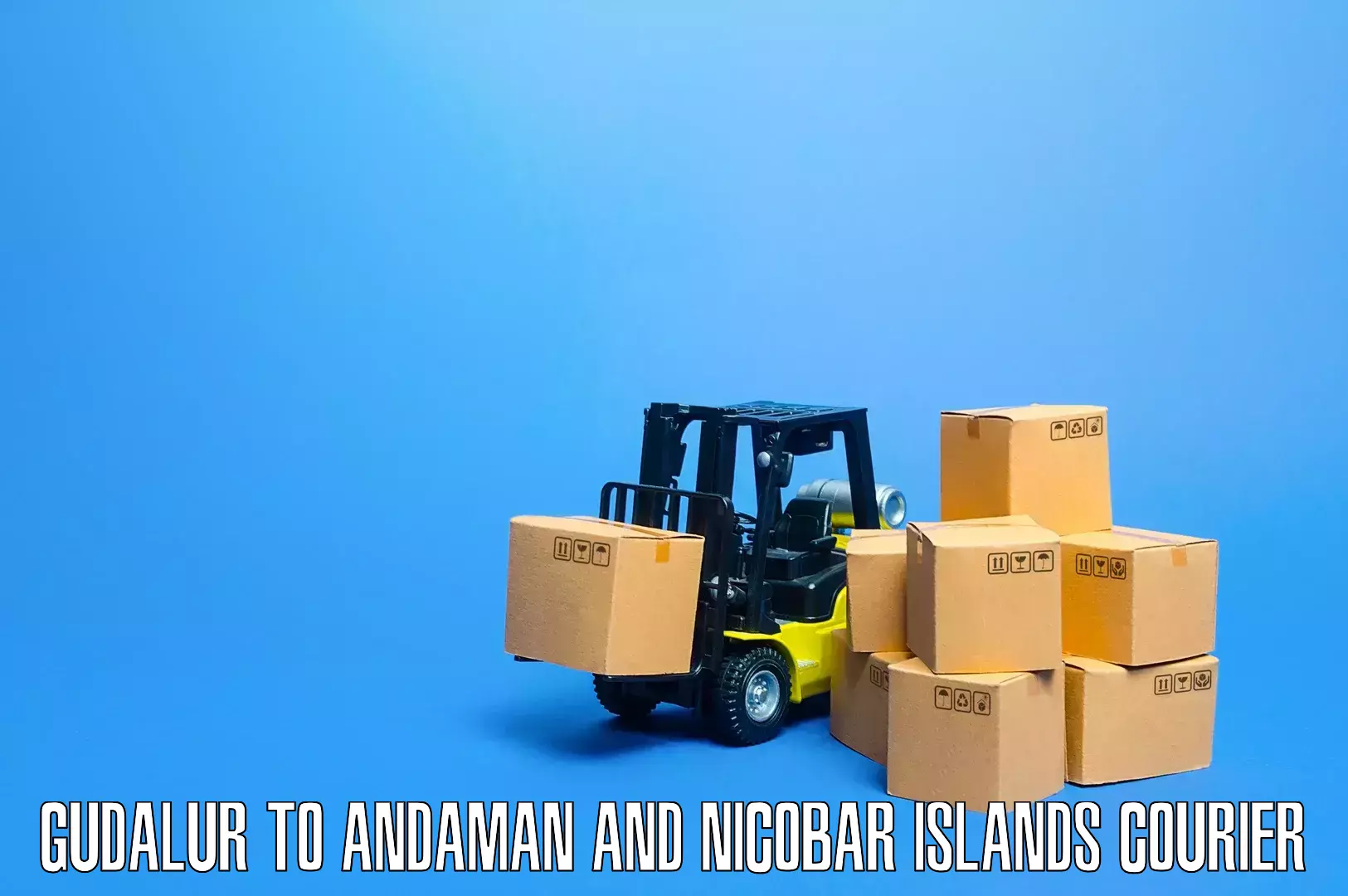 Furniture transport service Gudalur to North And Middle Andaman