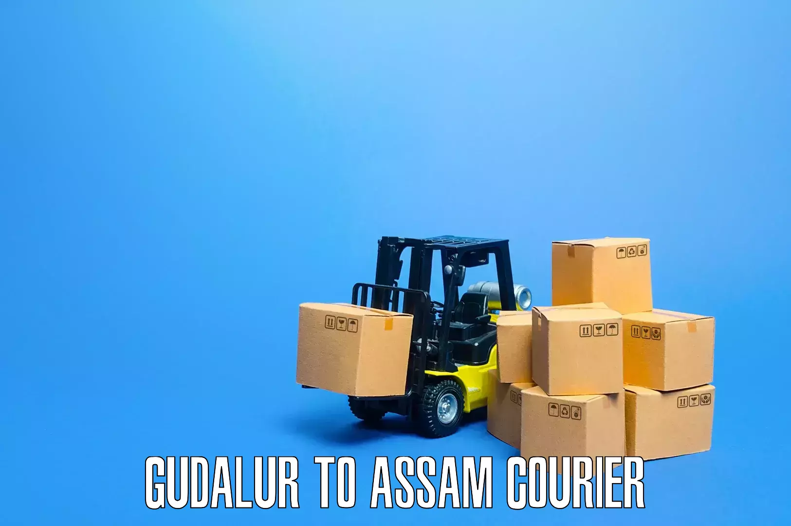 Home goods transport Gudalur to Hojai Lanka