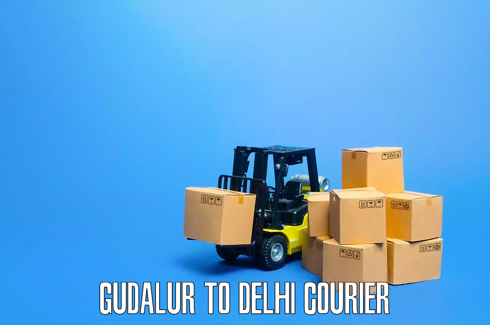 Reliable goods transport in Gudalur to Kalkaji