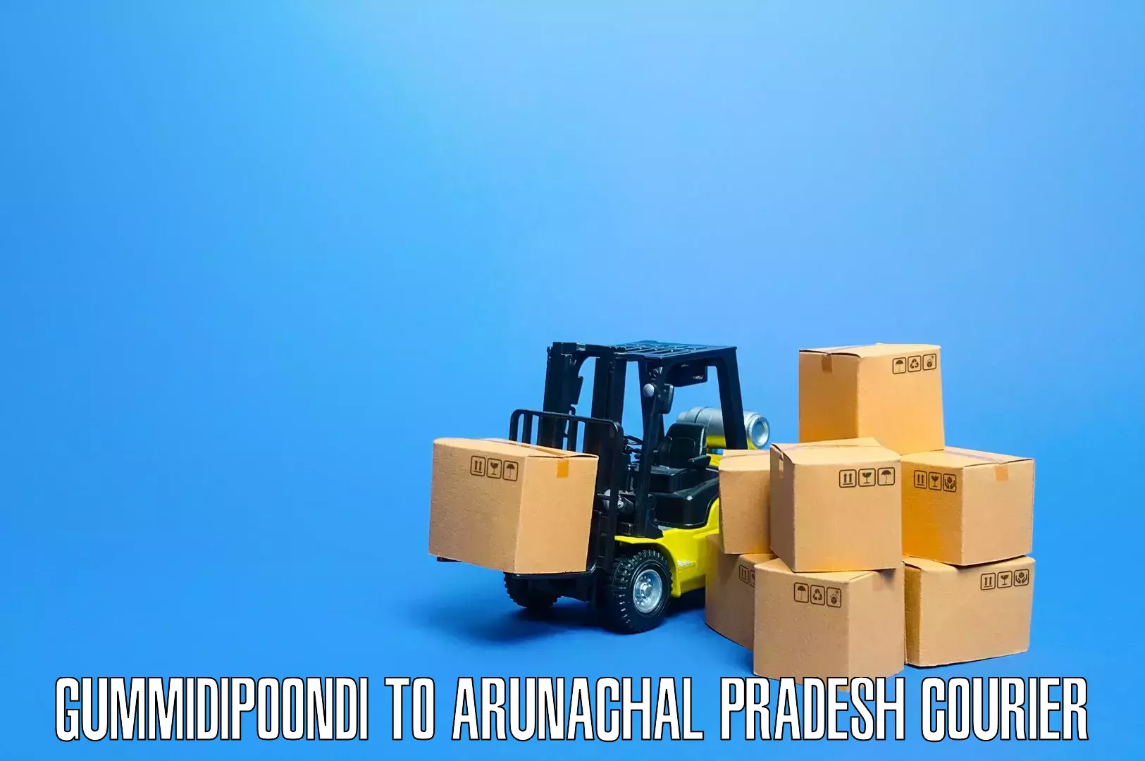 Professional furniture moving Gummidipoondi to Nirjuli