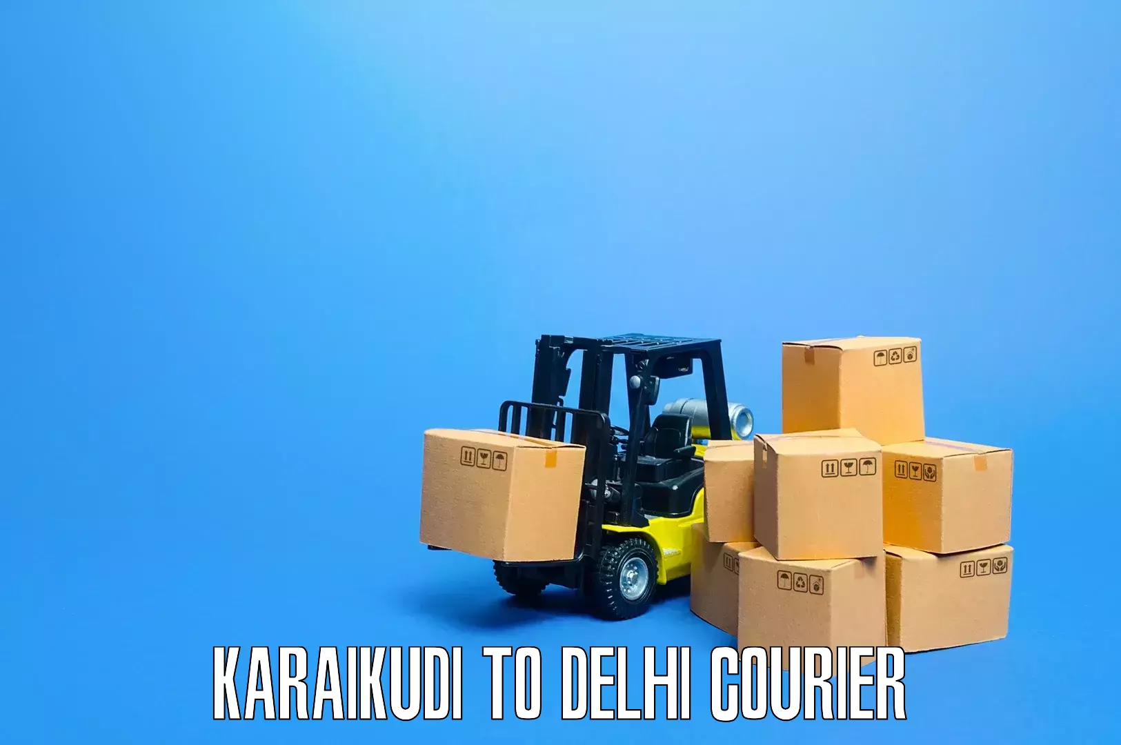 Custom moving plans in Karaikudi to Delhi Technological University DTU