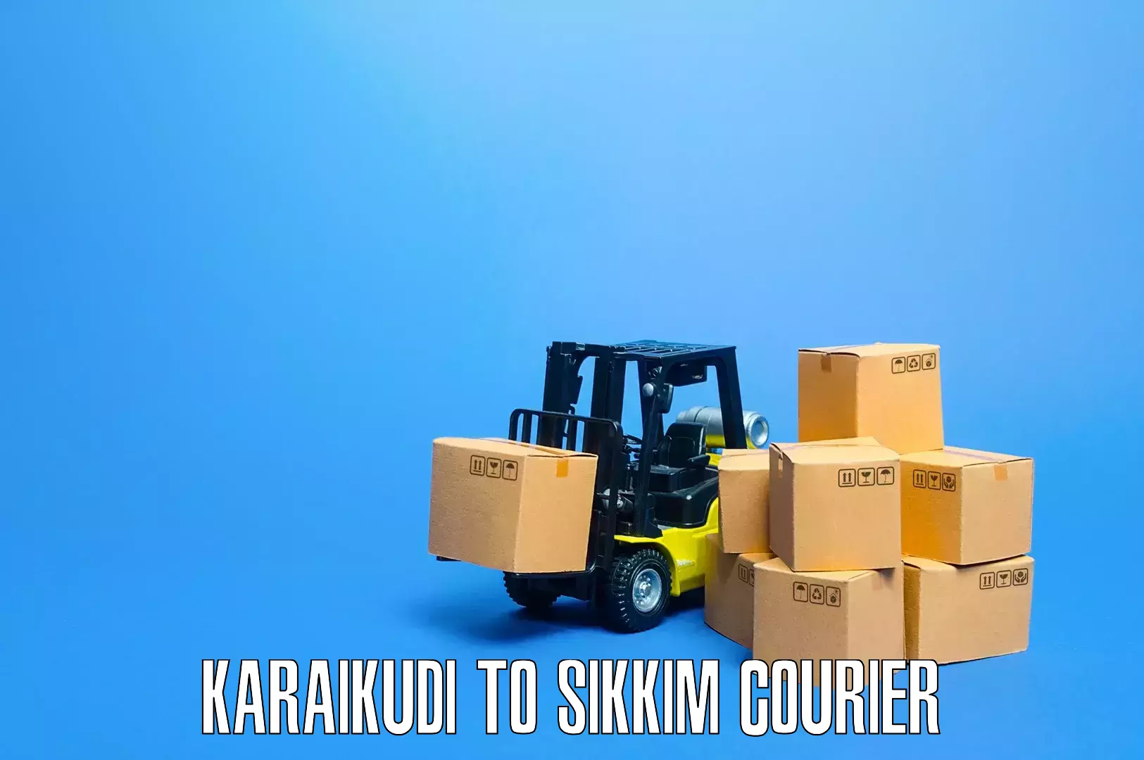 Furniture shipping services Karaikudi to Gangtok