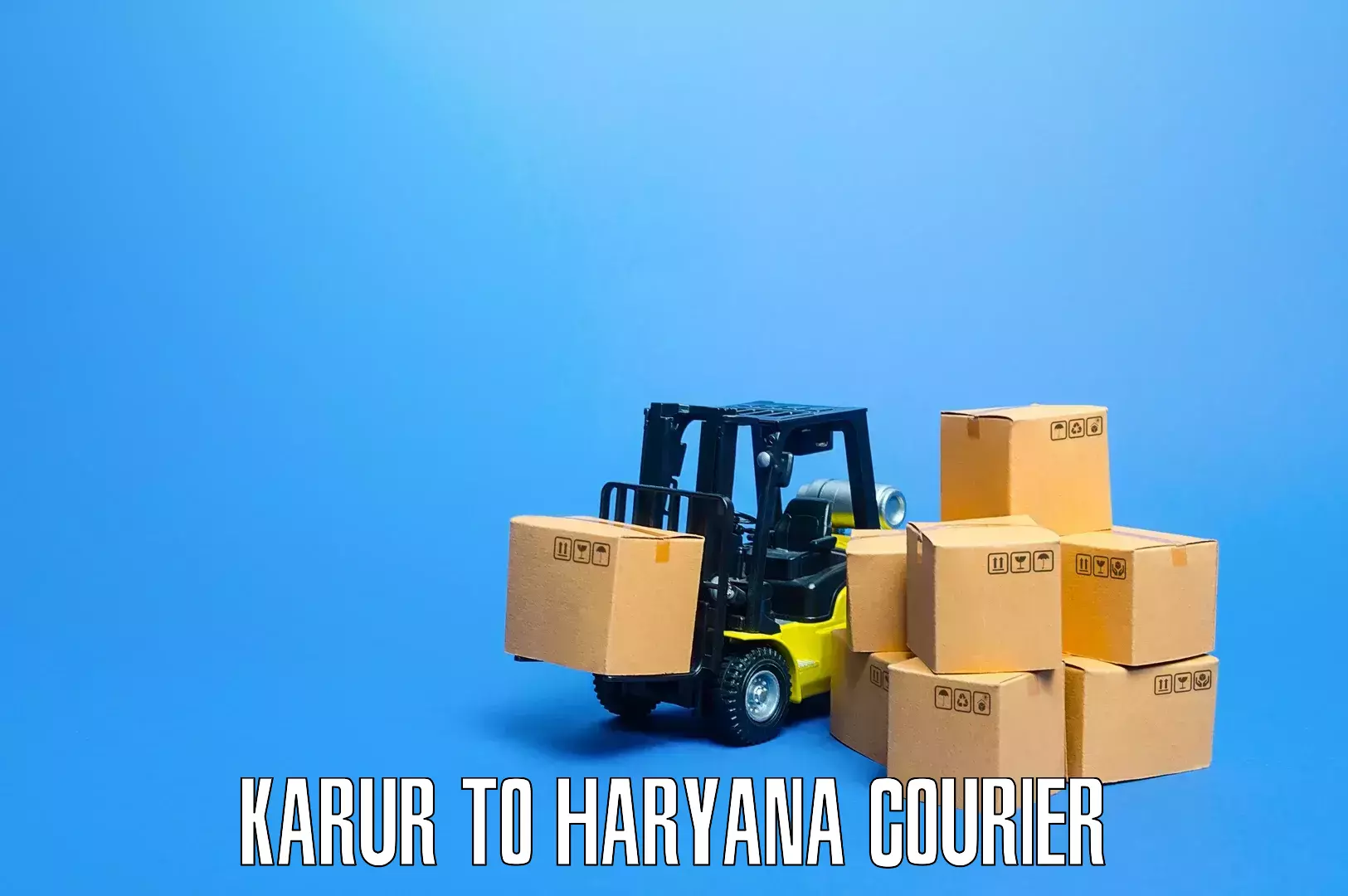 Efficient packing and moving Karur to Rohtak