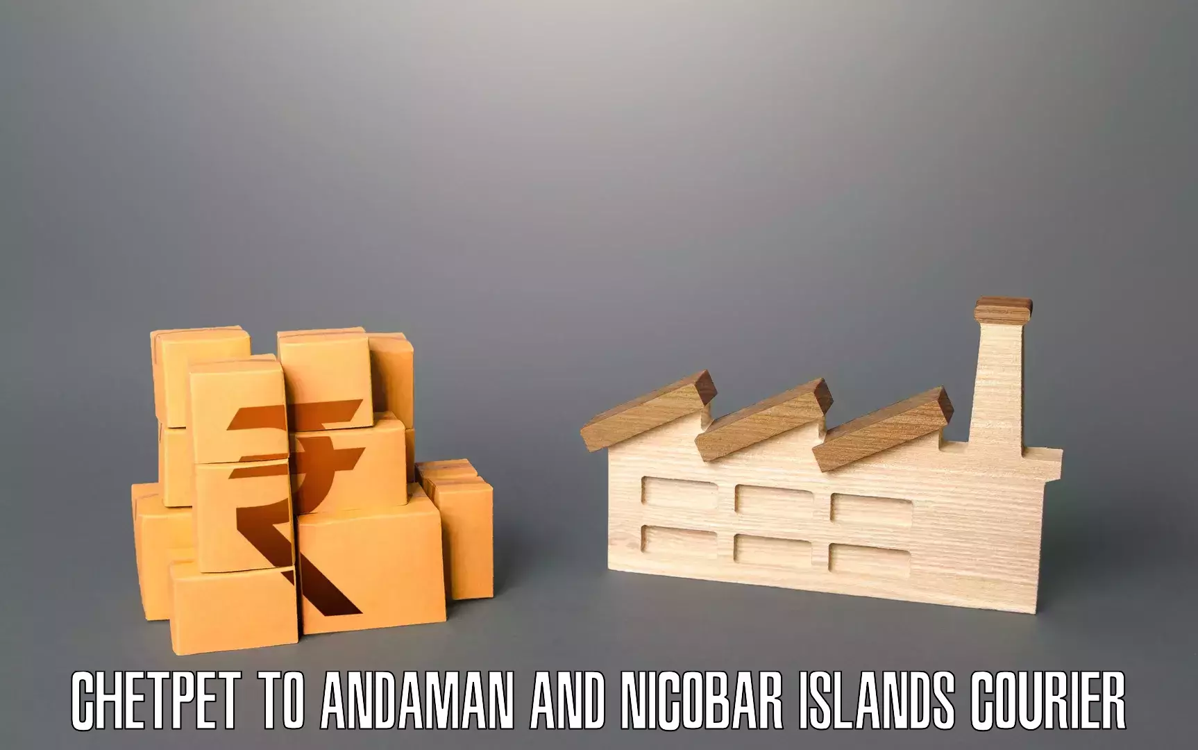 Professional packing and transport Chetpet to Andaman and Nicobar Islands