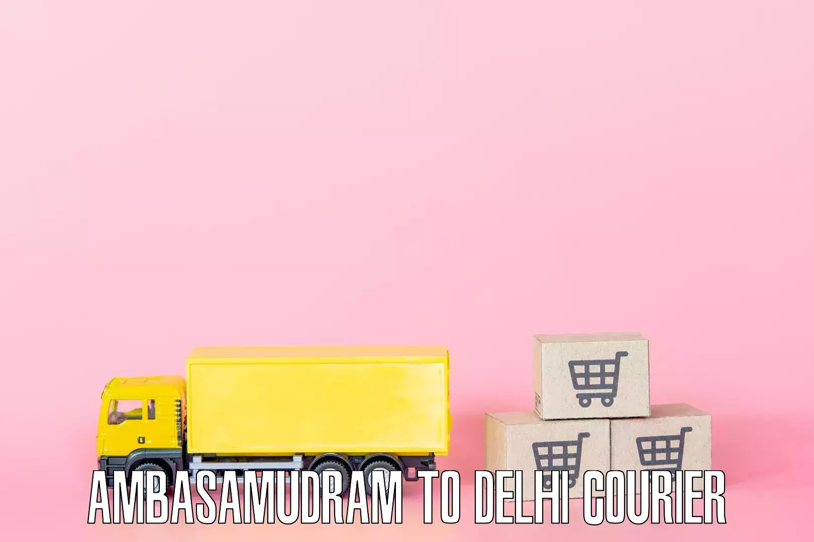 Customized household moving Ambasamudram to Delhi