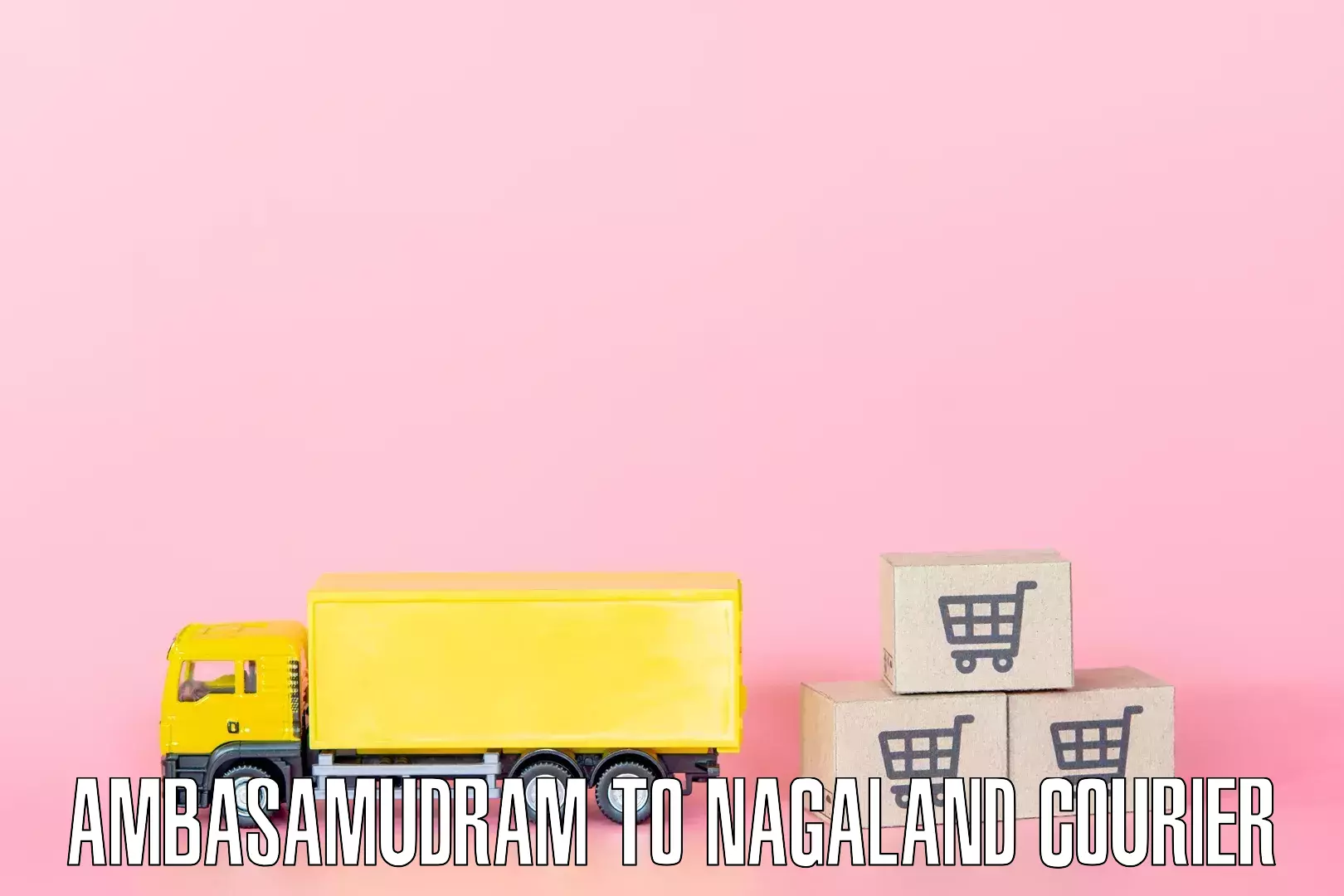 Specialized home movers Ambasamudram to Nagaland