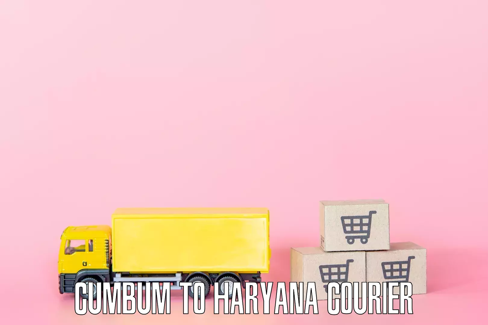 Home goods transport in Cumbum to Haryana