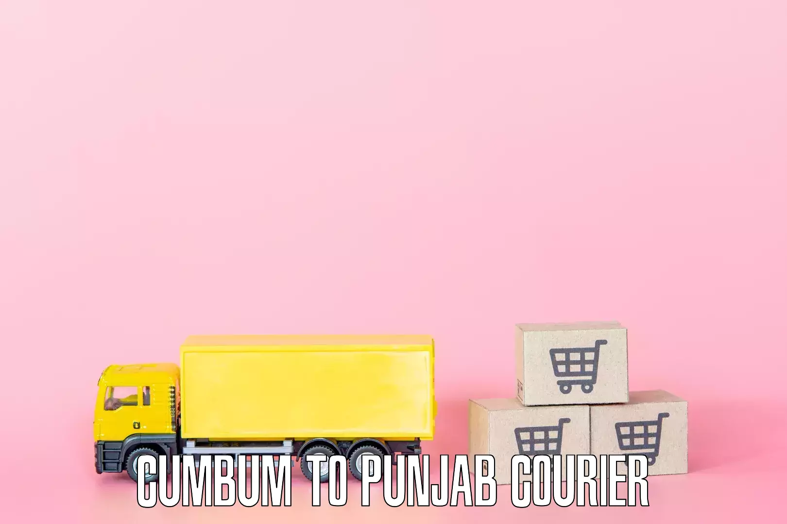 Furniture moving and handling Cumbum to Punjab