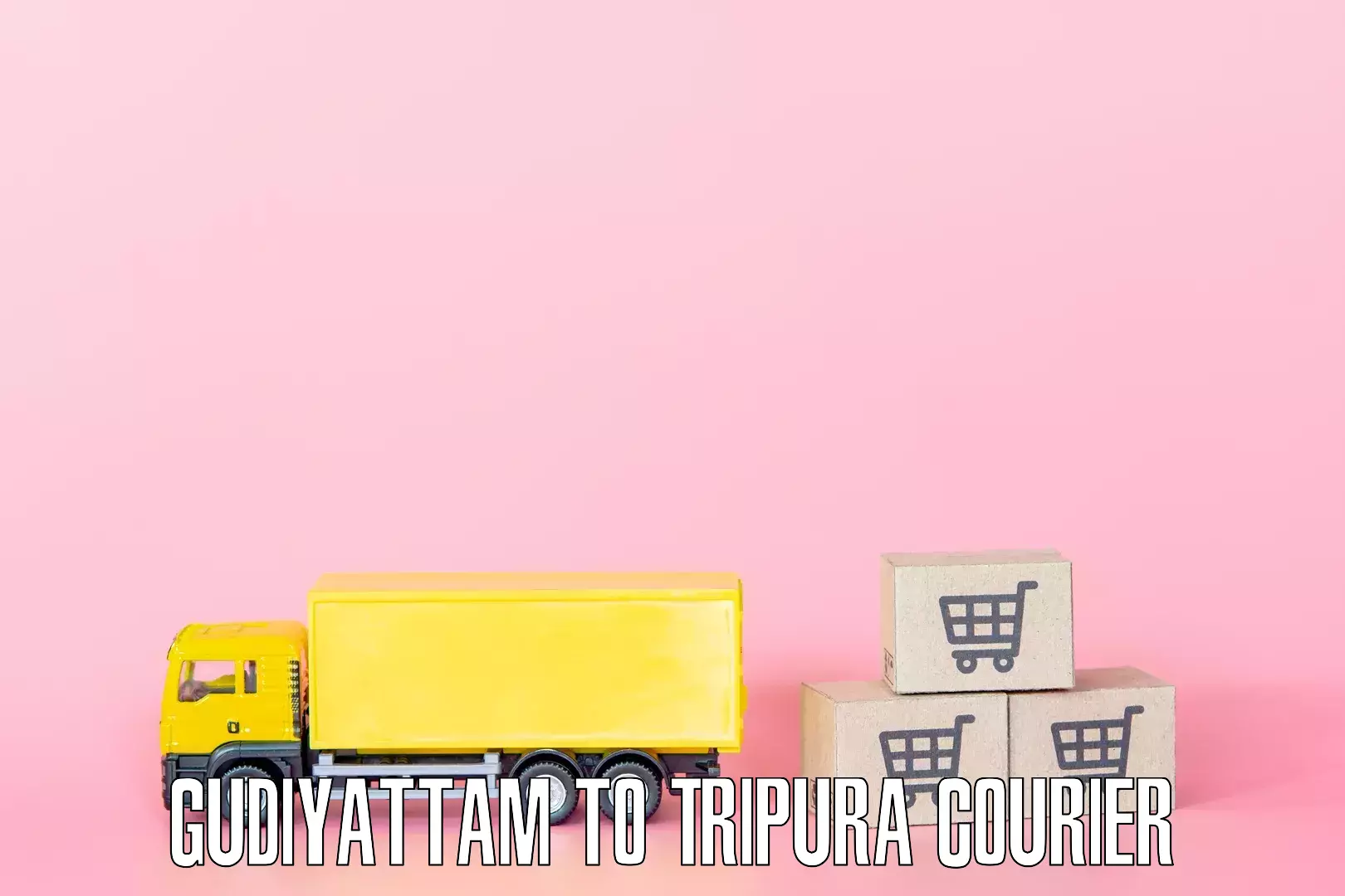 Household goods movers and packers Gudiyattam to Tripura