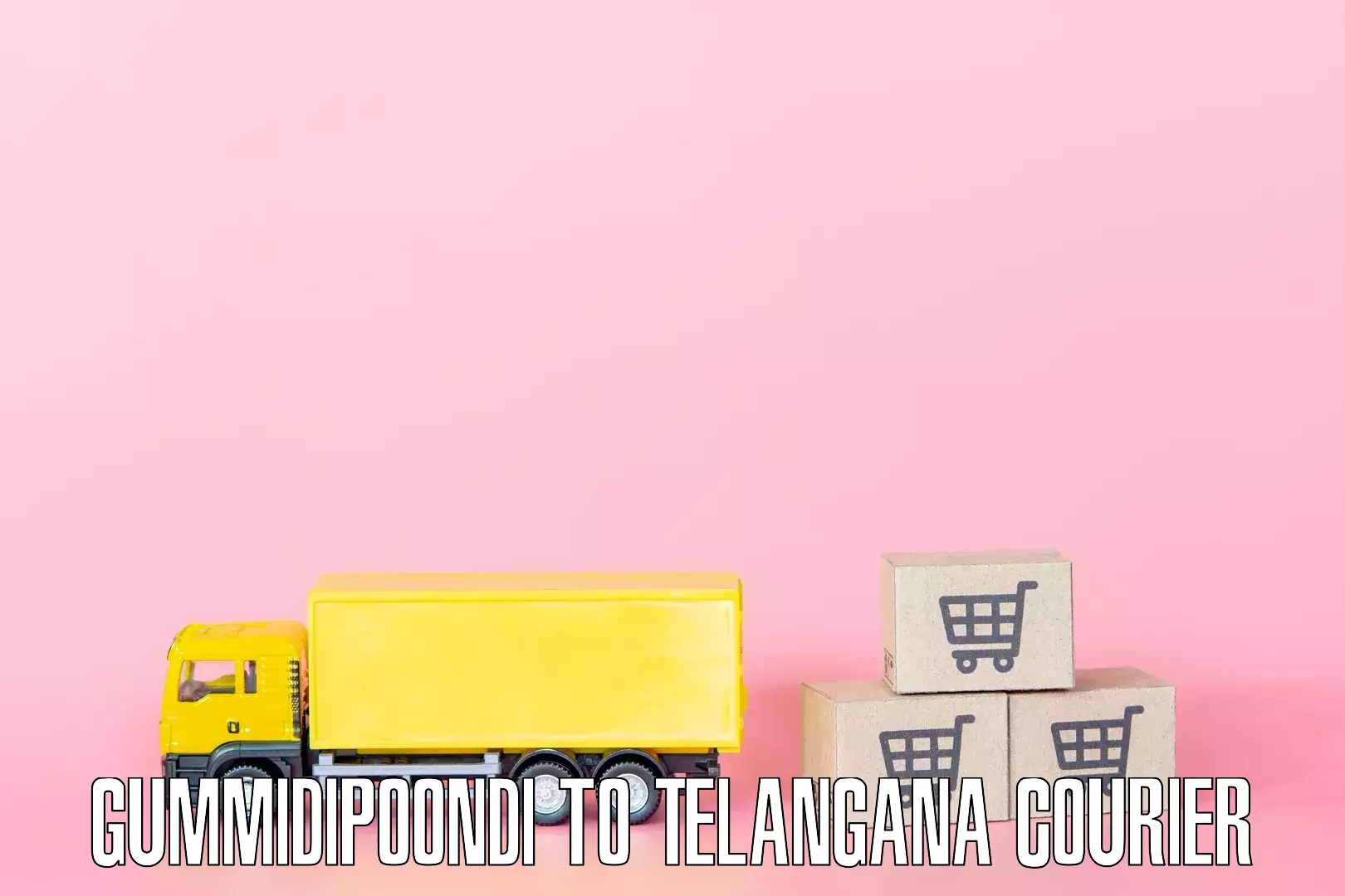 Household goods transport Gummidipoondi to Balanagar