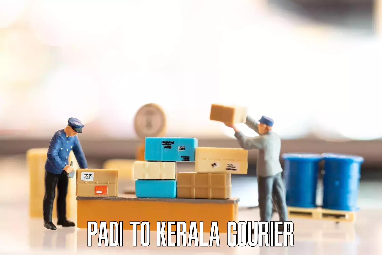 Professional movers and packers Padi to Kannur