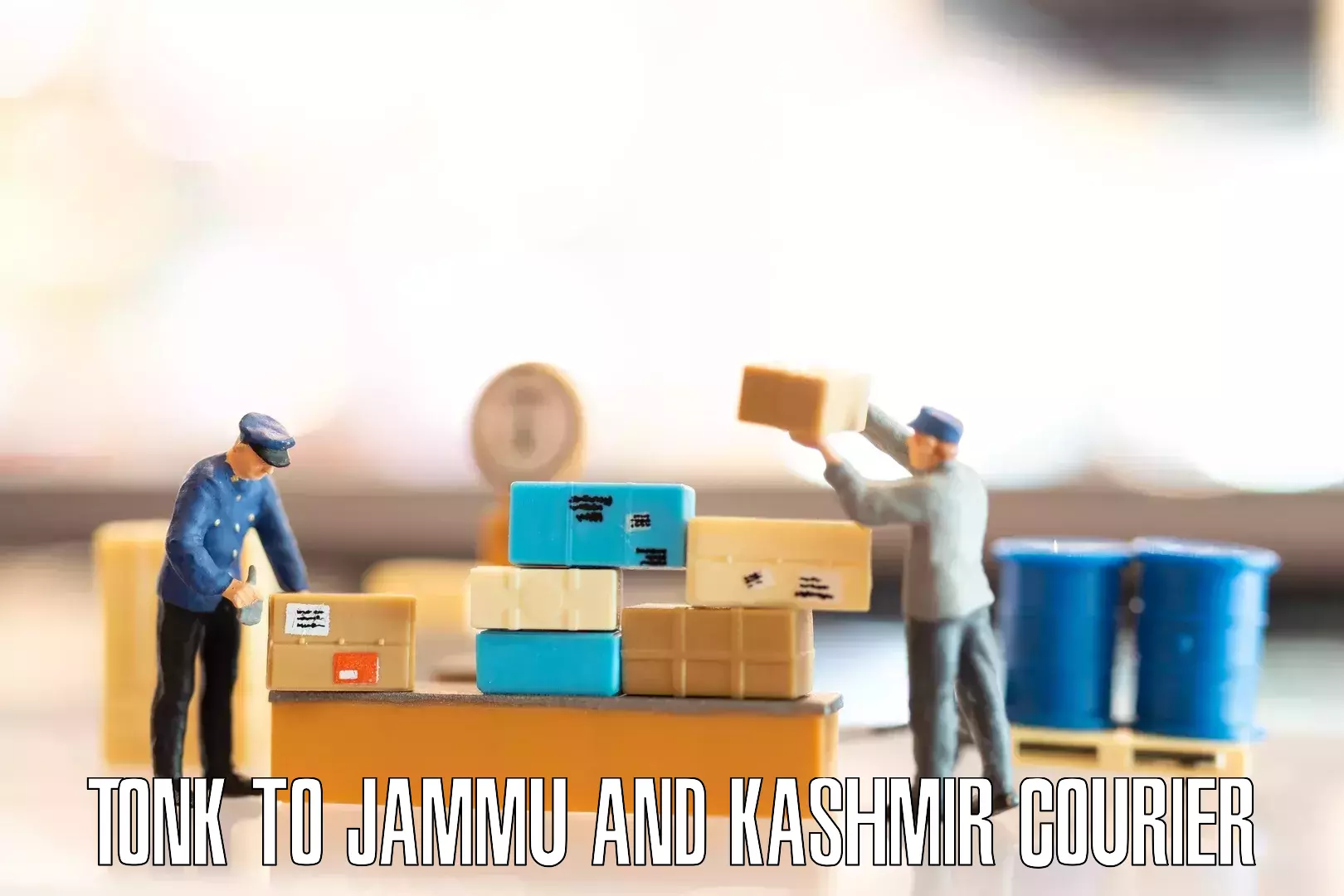 Professional home relocation Tonk to Jammu and Kashmir
