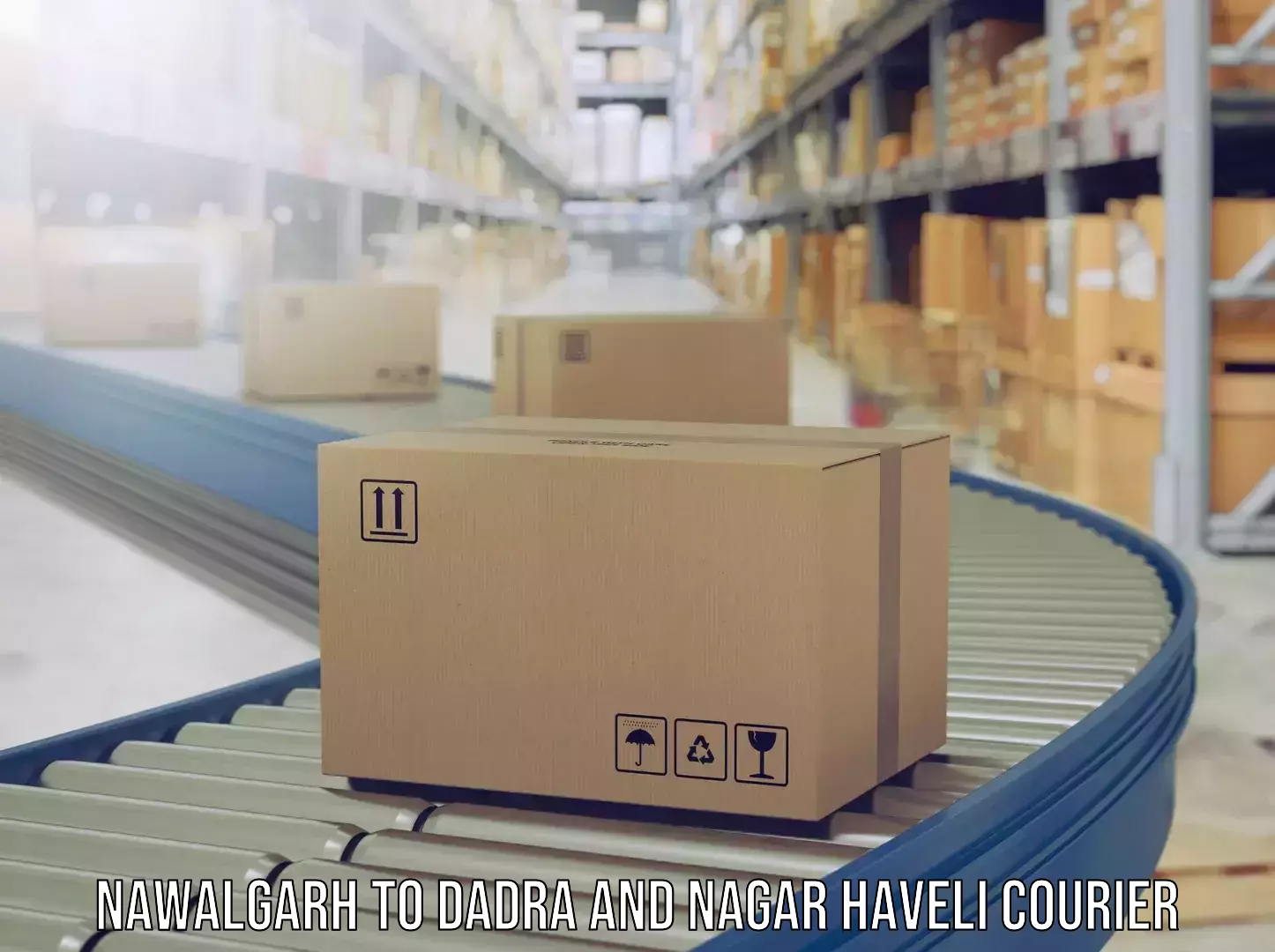 Luggage delivery providers Nawalgarh to Dadra and Nagar Haveli