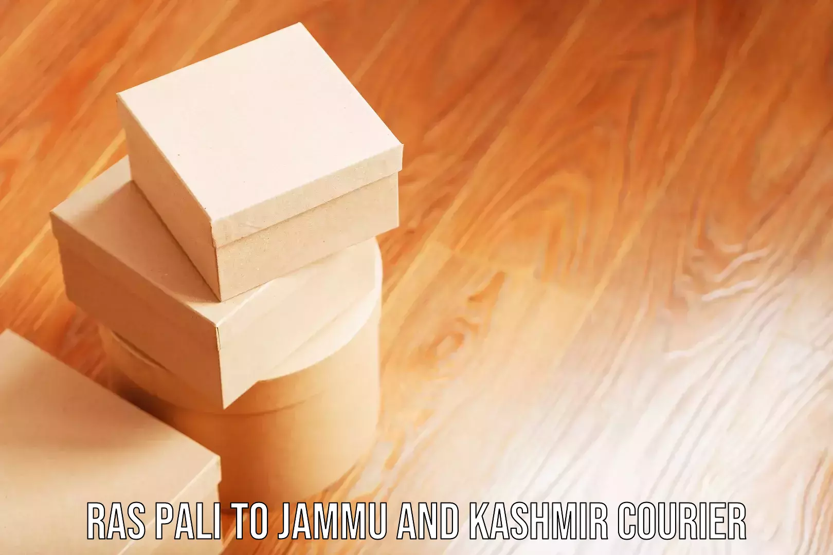 Luggage shipment strategy Ras Pali to Jammu