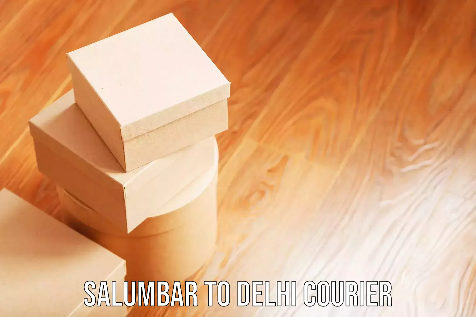 Same day luggage service Salumbar to Delhi