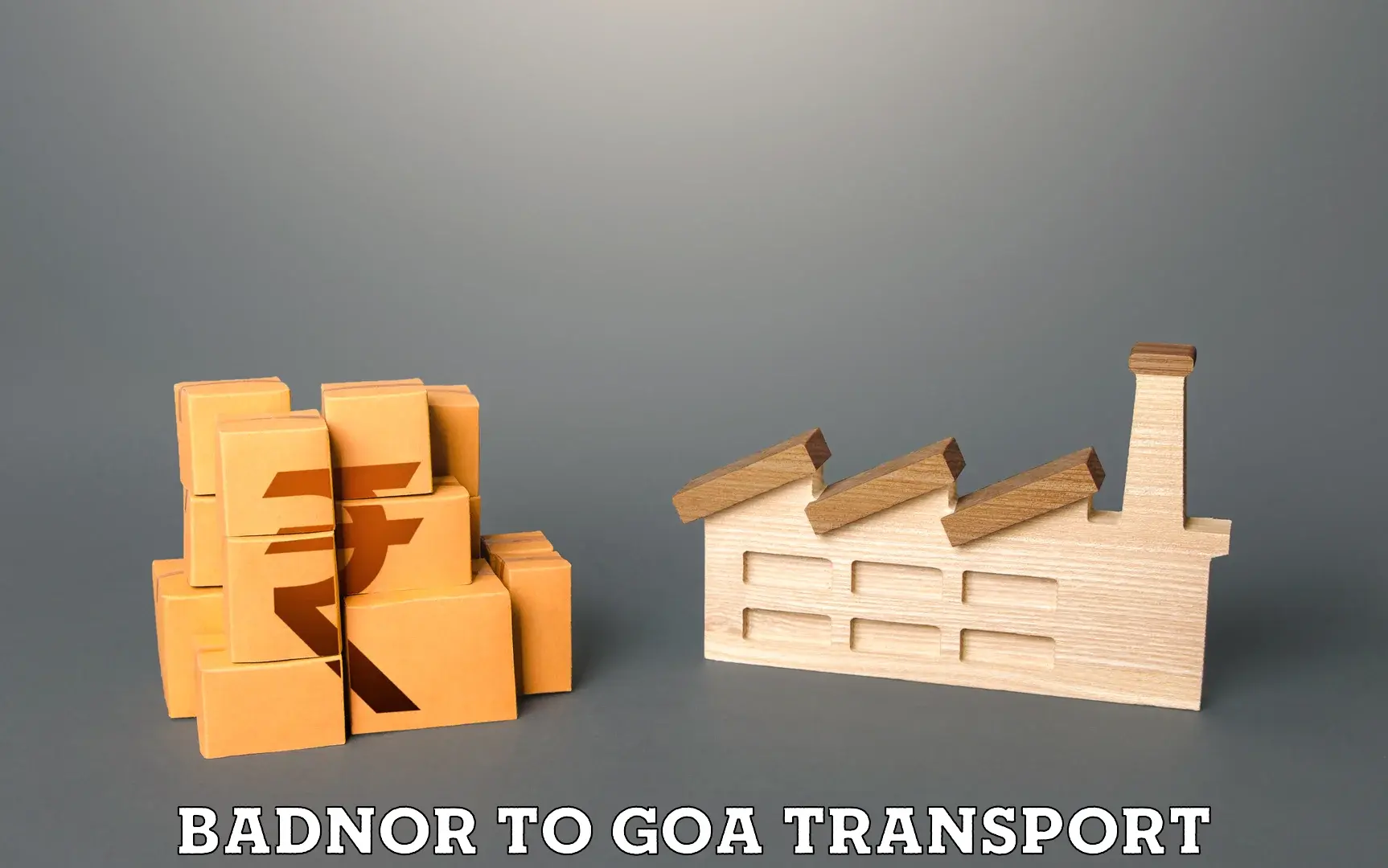 Delivery service Badnor to South Goa